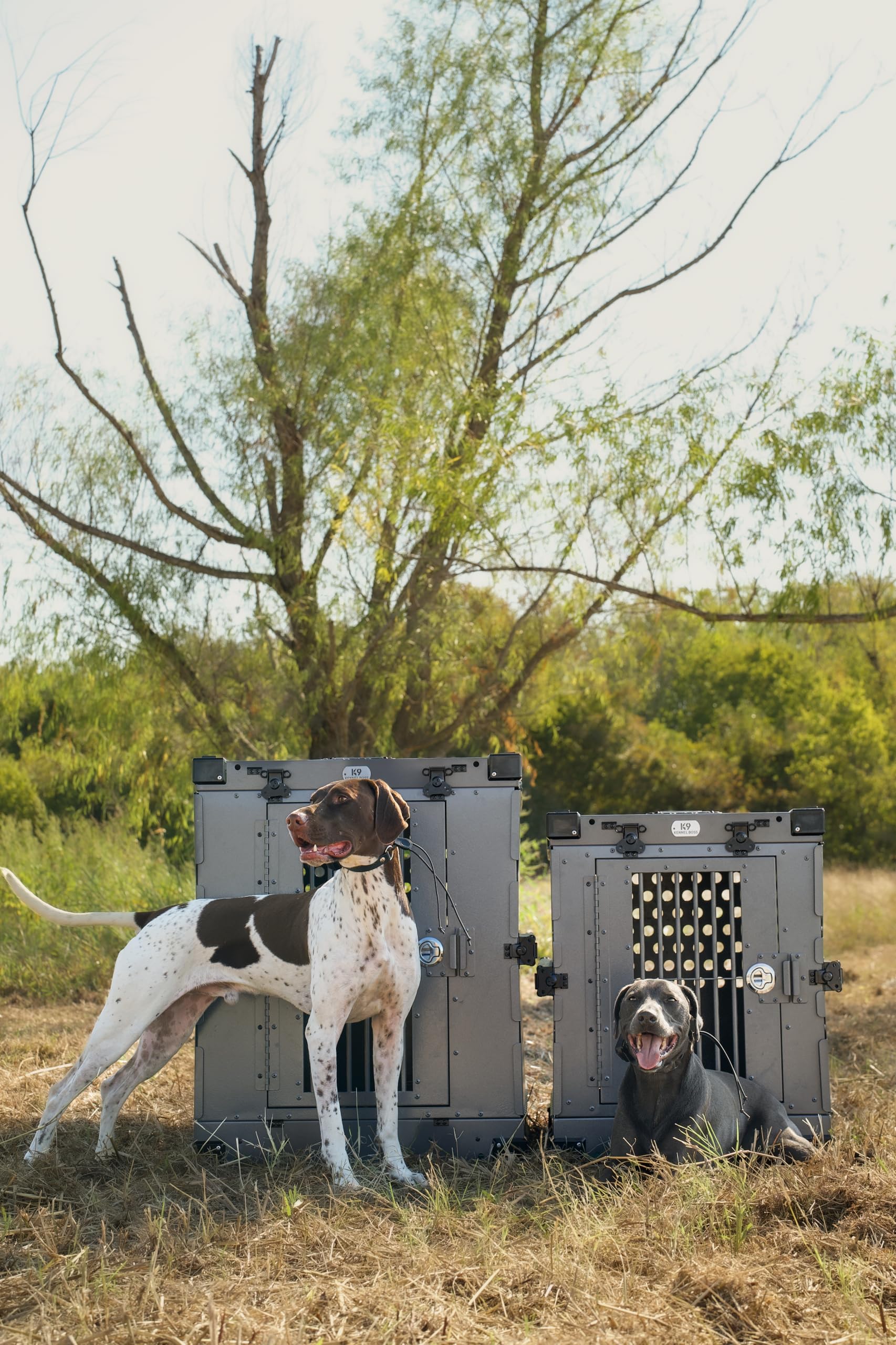 K9 Kennel Boss - Heavy Duty Fully Collapsible Powder-Coated Aluminum Dog Crate - Large (Gray)