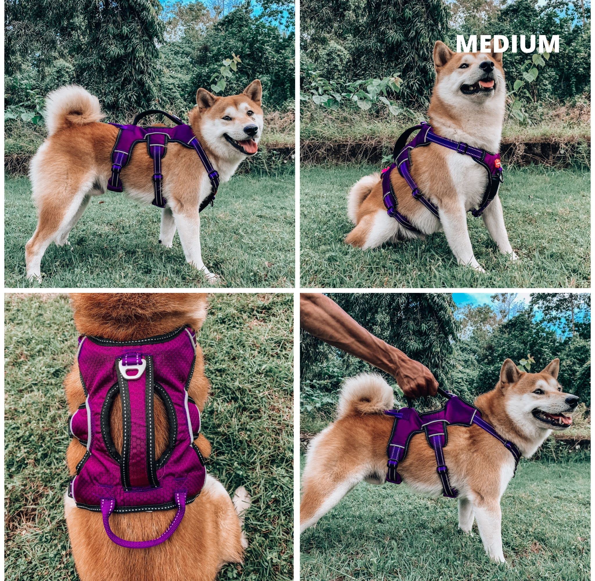 Tuff Pupper Updated For 2022 - Tracker No Escape Dog Harness  Dual Escape Proof Leash Attachments  5 Point Adjustable Fit Harnes