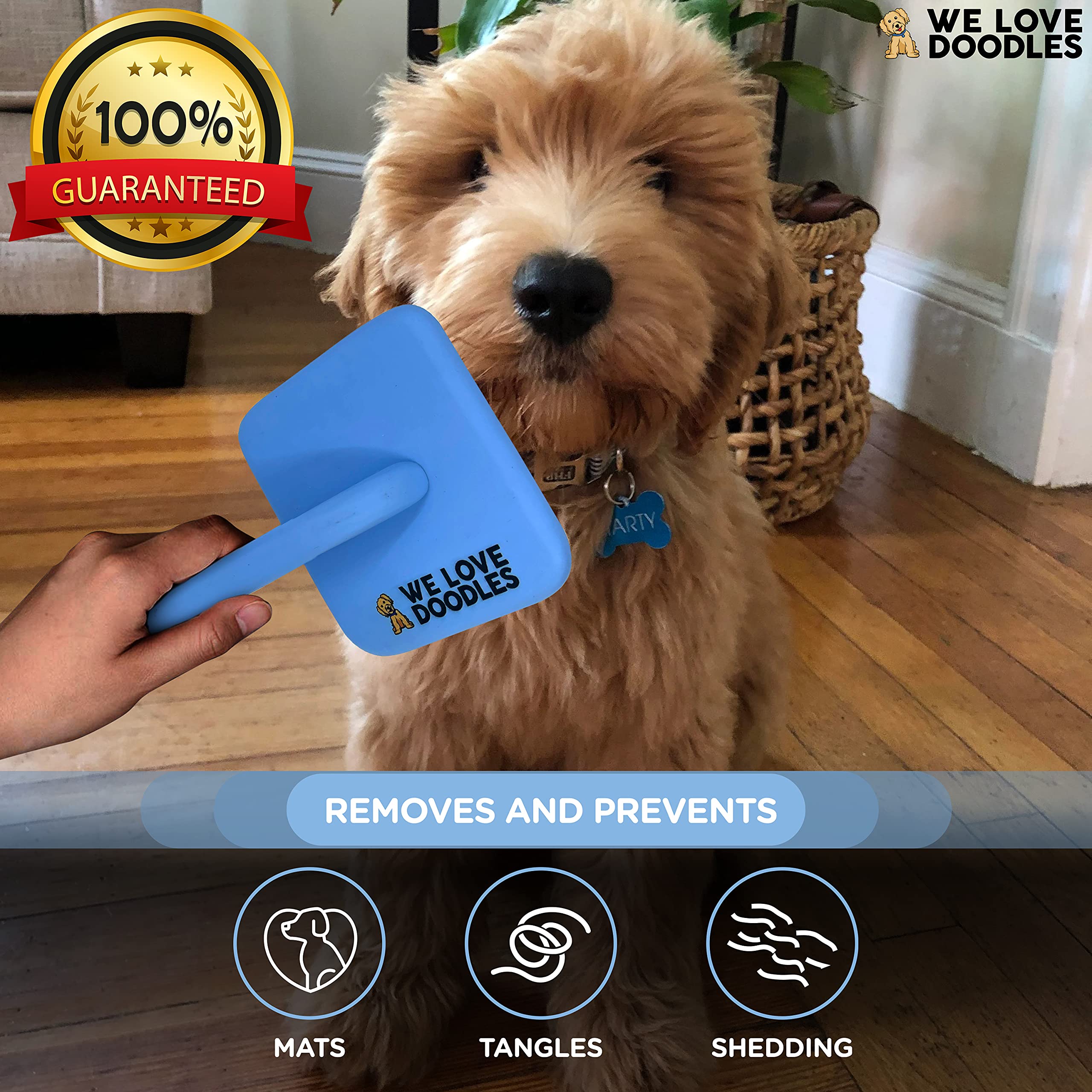 We Love Doodles Dog Slicker Brush For Grooming Pet Hair - Best Brushes For Poodle & Golden Doodle - Long Haired Brush For Dogs - Goldendoodle Long Pin Brush For Dematting (Large)