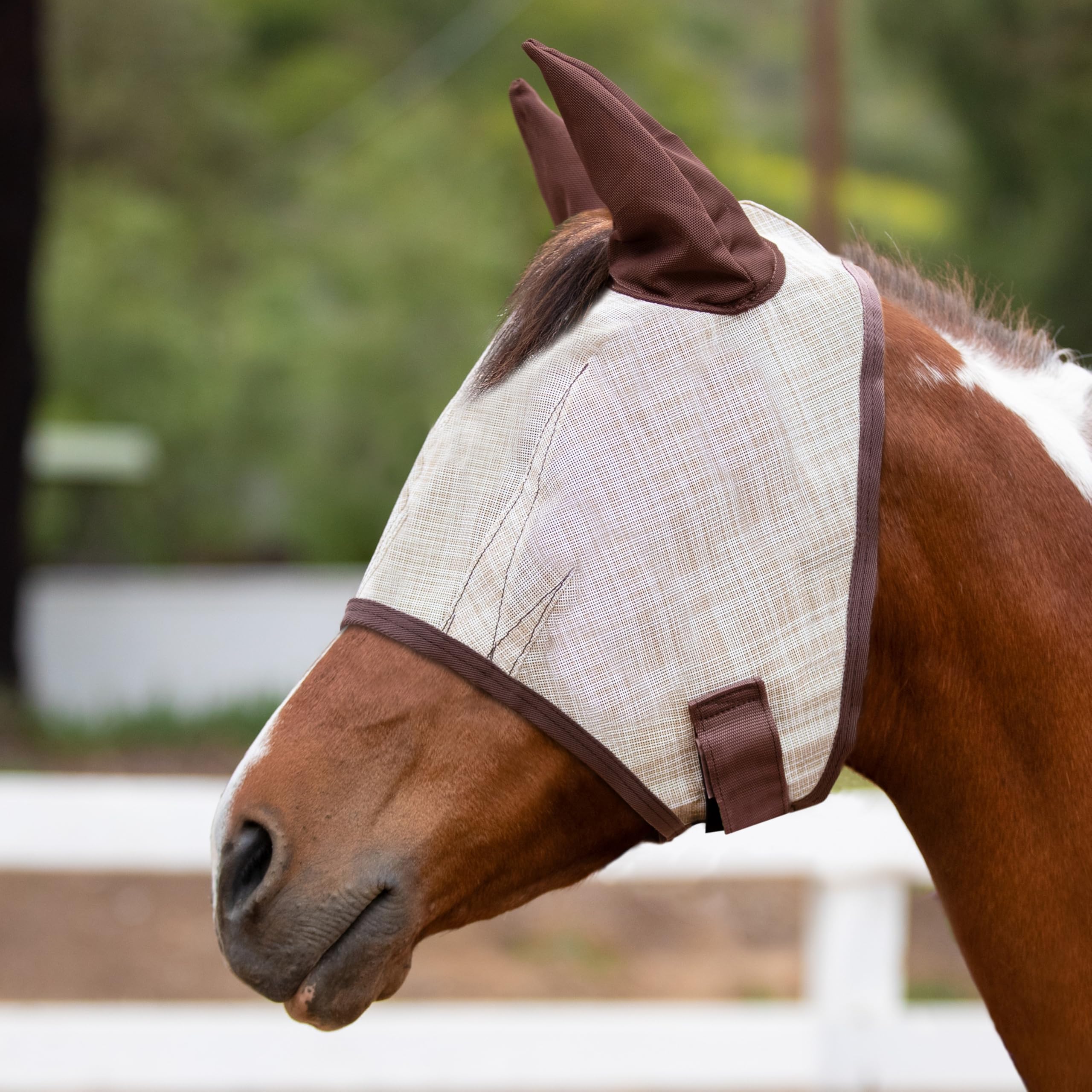 Kensington Signature Fly Mask w/Web Trim, Soft Mesh Ears & Forelock Opening Size: XL-Lrg.Horse Color: 500 - Desert Sand
