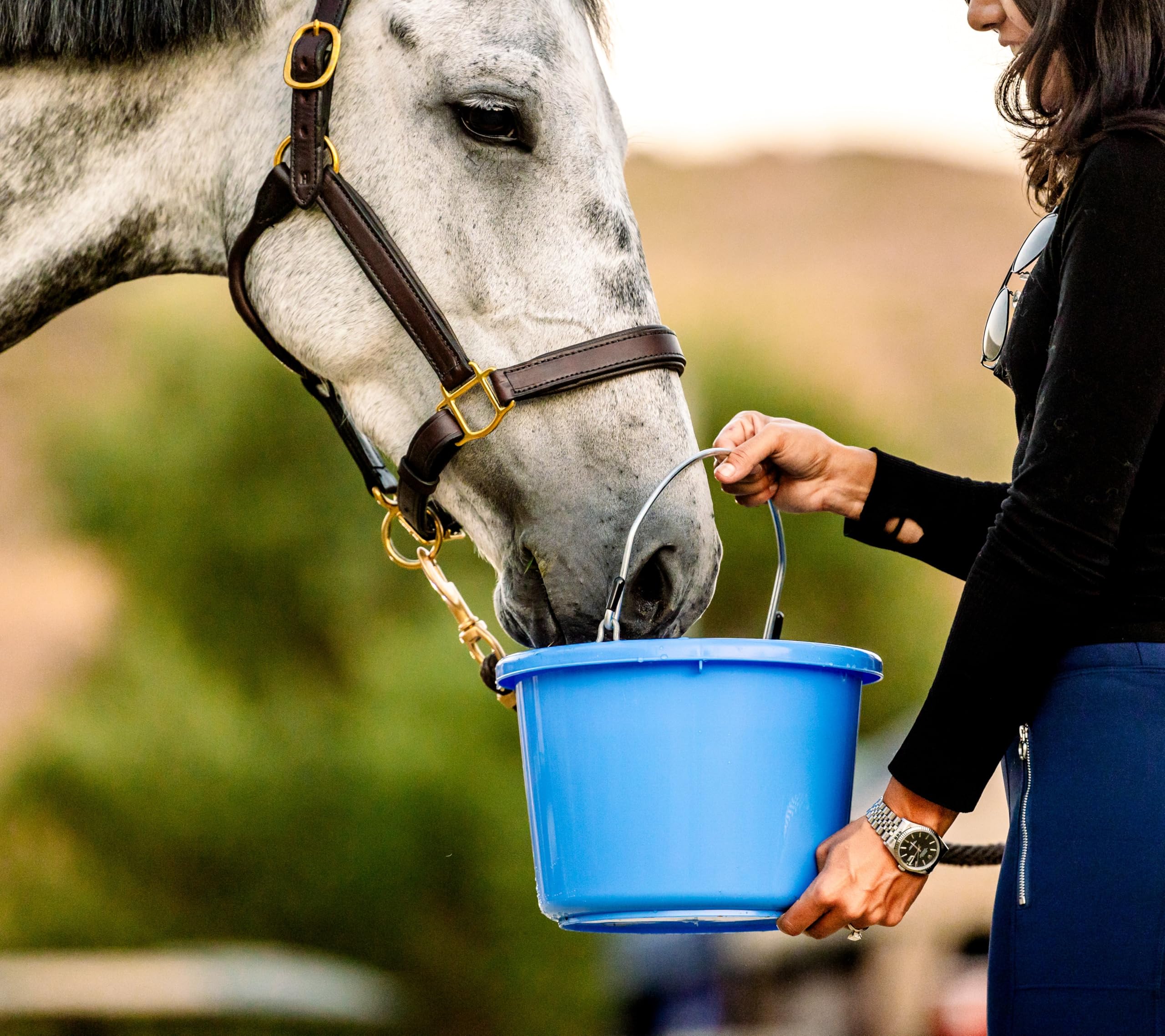 Horse Quenchers Root Beer Flavored Horse Hydration Supplement, Thirst Quencher for Horses, 13 lbs Pail, All-Natural Grains for E