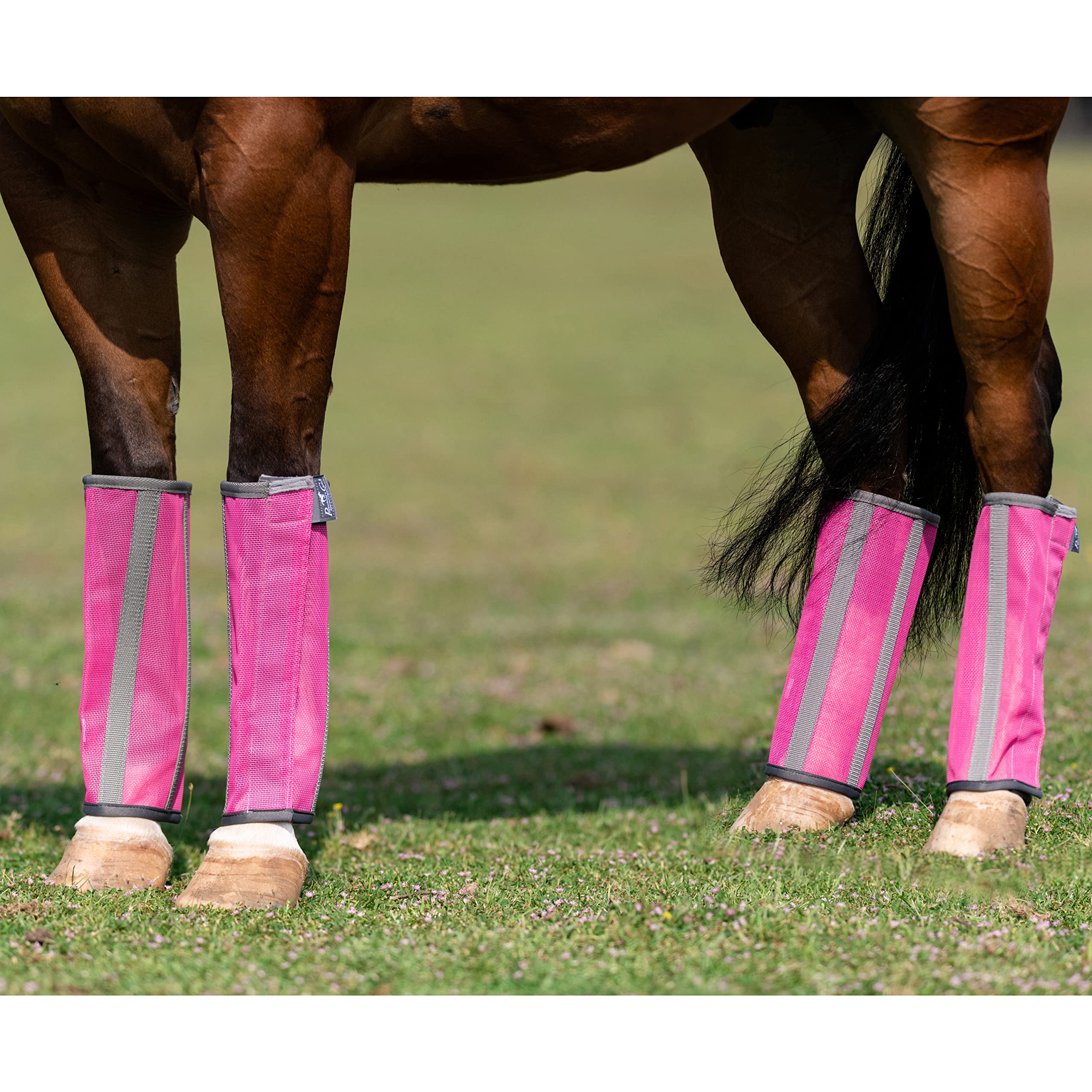 Professional'S Choice Deluxe Fly Boots | Breathable Mesh | 4 Pack