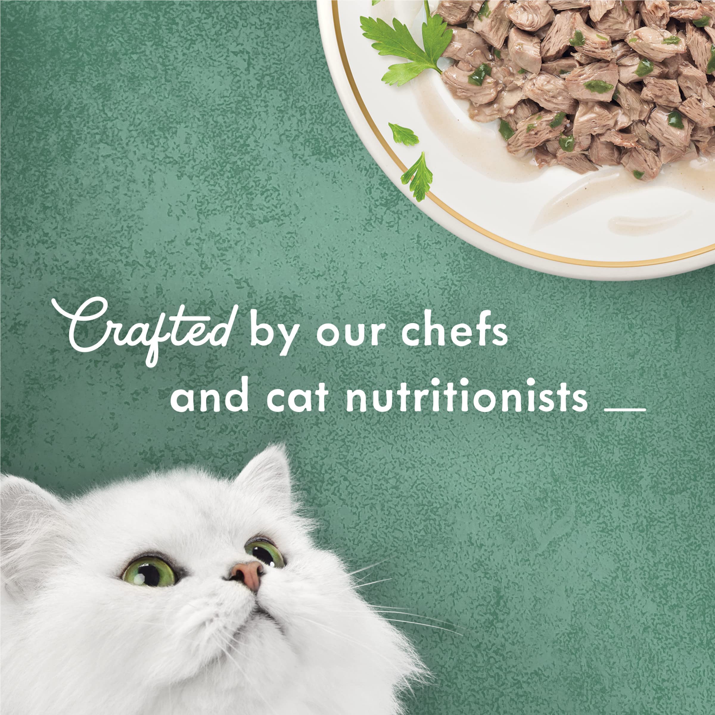 Purina Fancy Feast Wet Cat Food, Medleys Tuna Florentine With Garden Greens in a Delicate Sauce - (Pack of 24) 3 oz. Cans