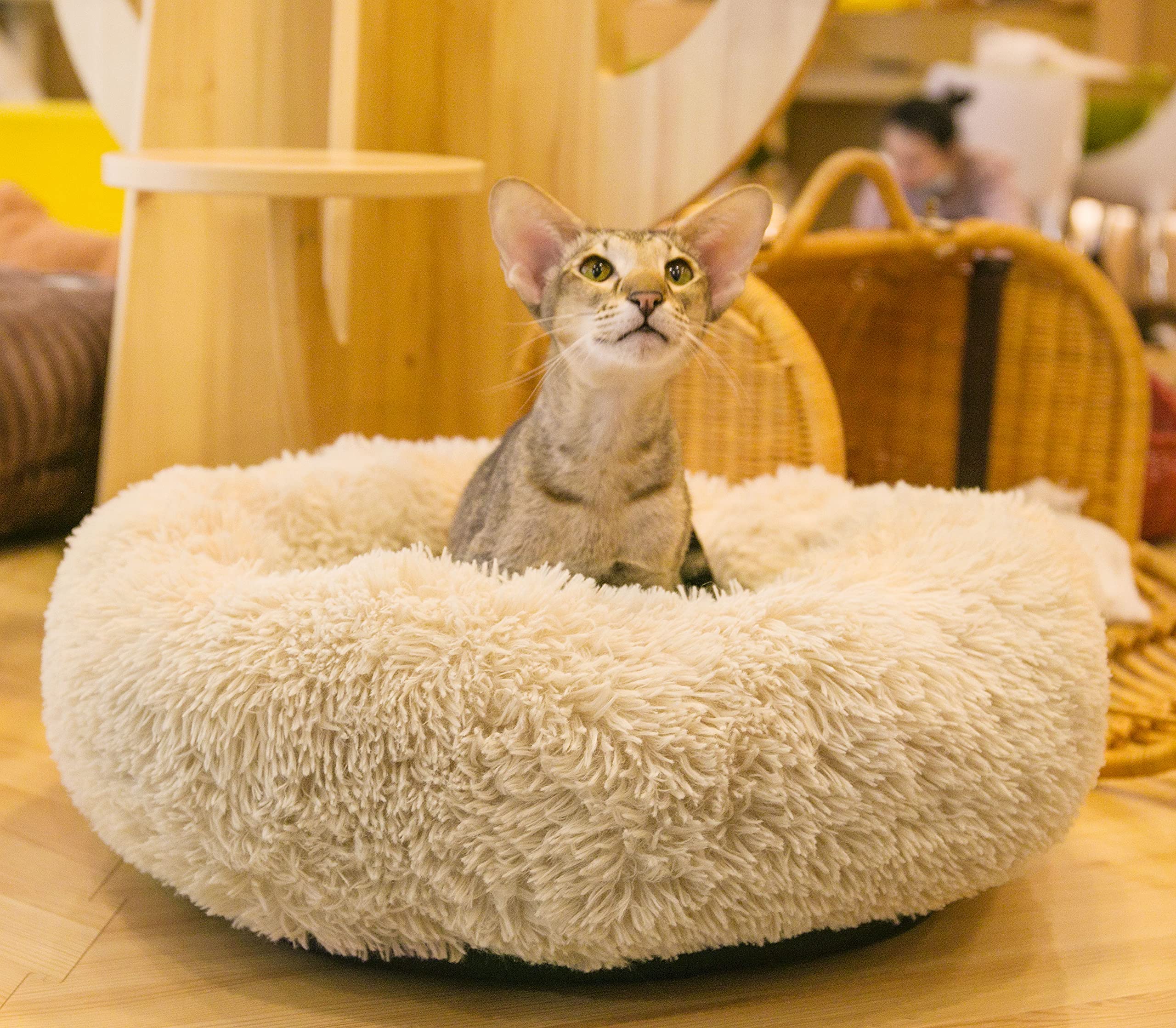 Qucey Calming Cat Beds for Indoor Cats, Anti Anxiety Round Fluffy Plush Faux Fur Cat Bed, Washable 23 inches Small Dog Bed & Cat
