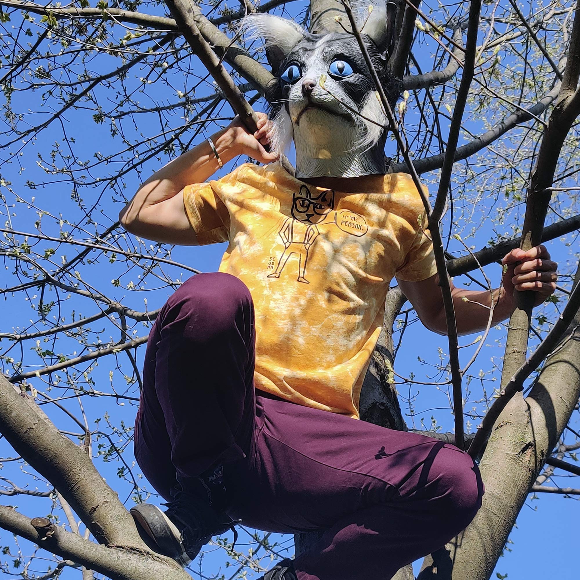 Cat/Dog Person T-Shirt (Cat Tie-Dye Yellow, X-Large)