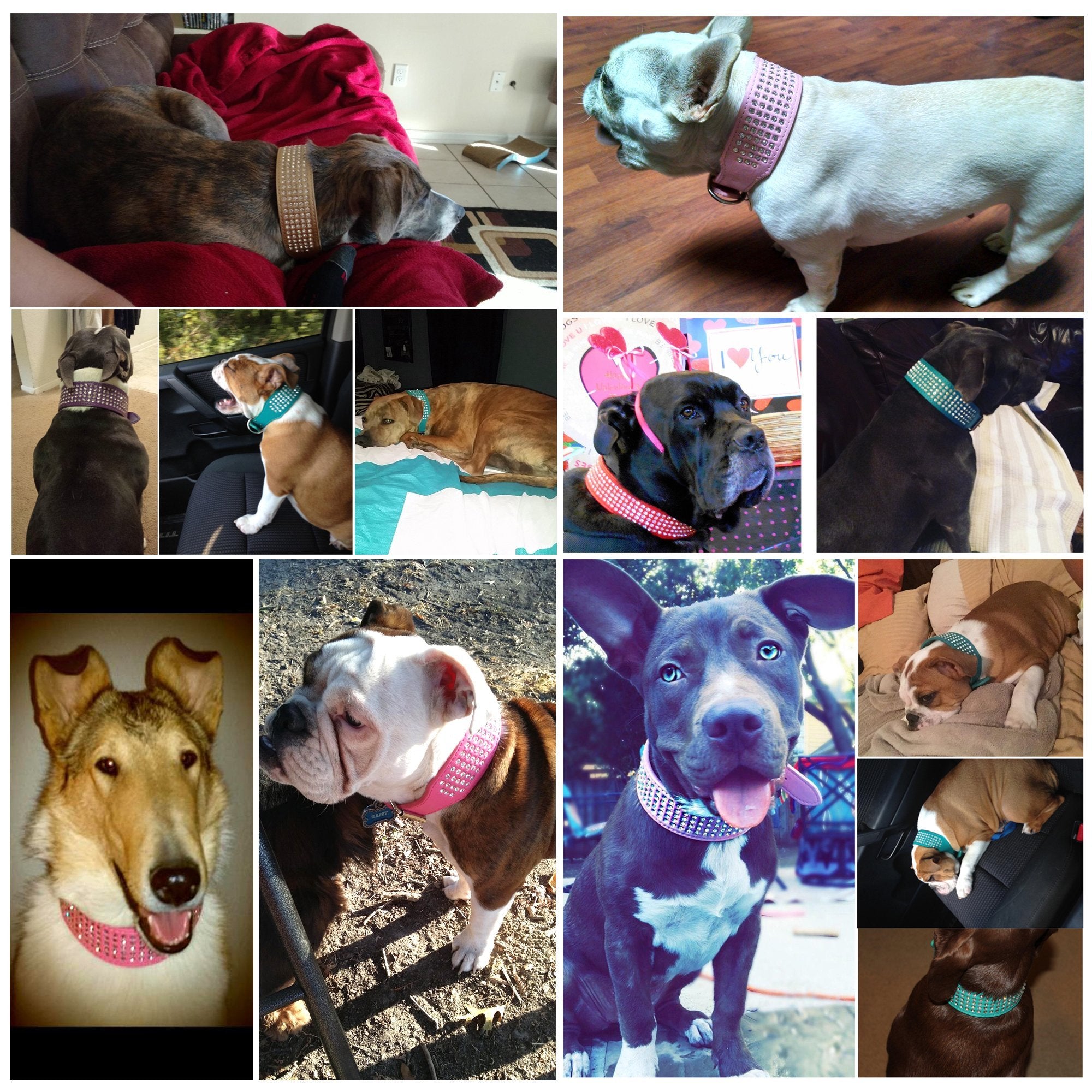 Berry Pet Rhinestones Dog Collars - 2 Width With 5- Rows Full Sparkly Crystal Diamonds Studded Pu Leather - 2 Inch Wide -Beaut