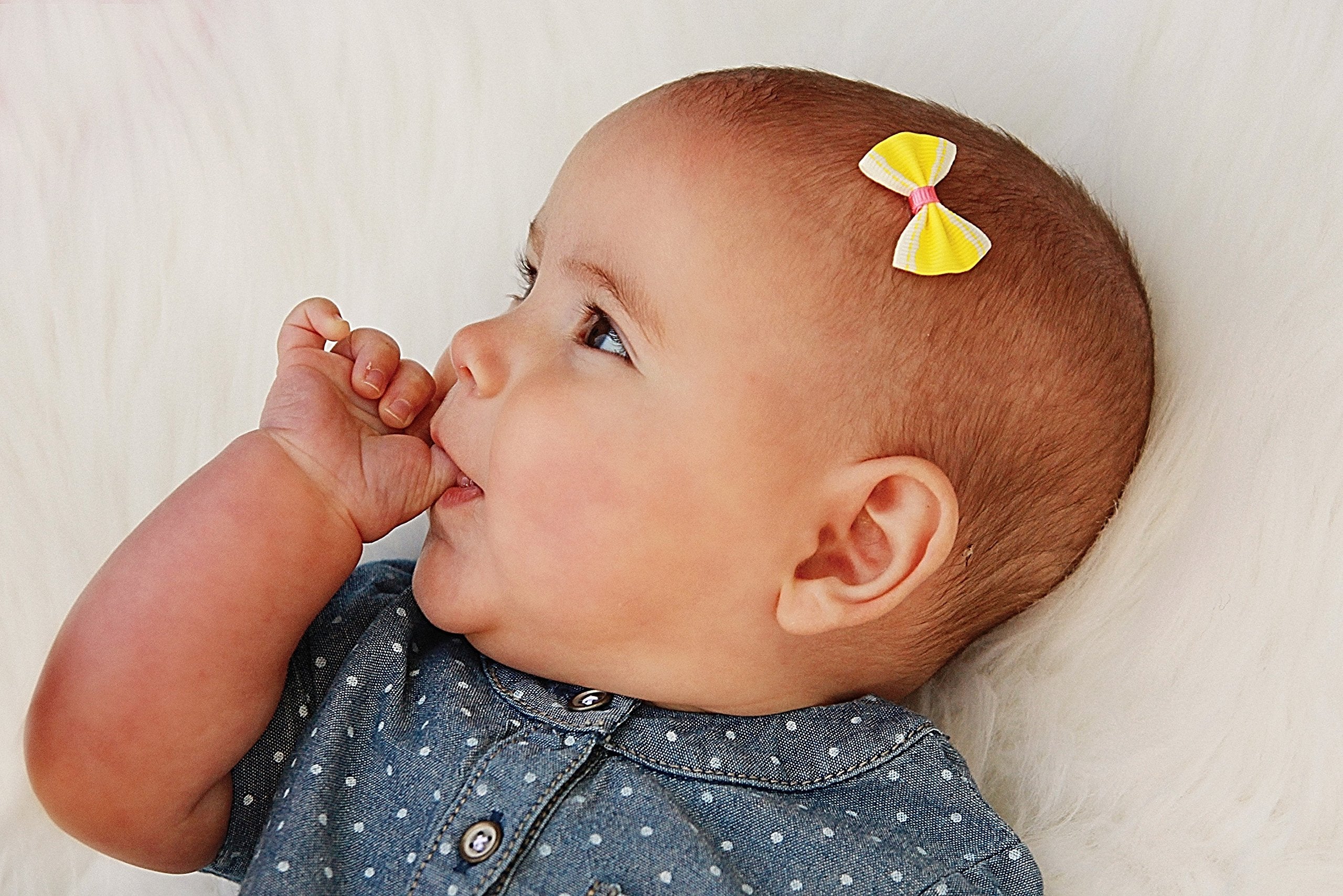 Girlie Glue Tube And 8 Vintage Bows For Babies And Pets