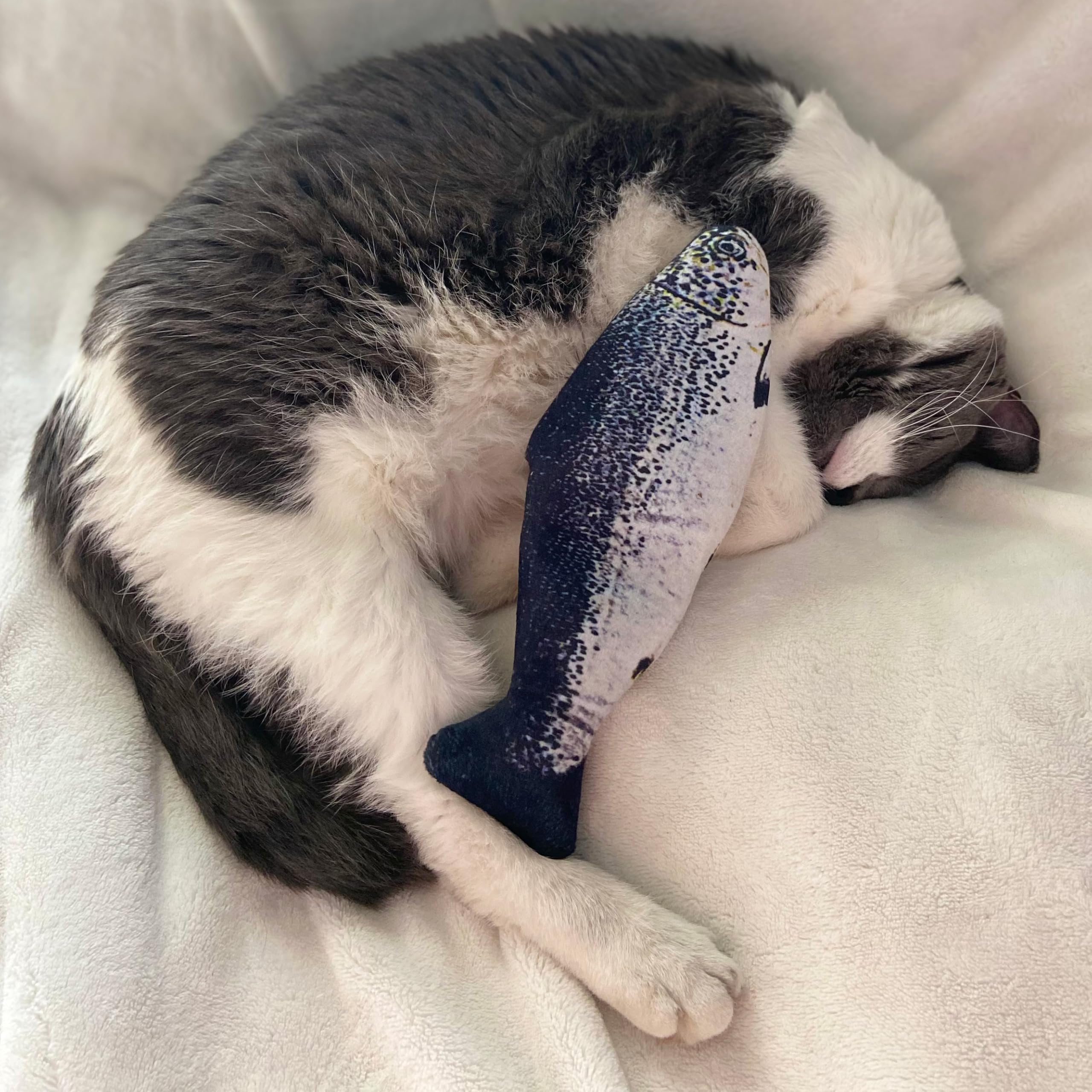 Spot Flippin' Fish Interactive Cat Toy With Catnip For Indoor Cats & Kittens - Touch Activated, Flipping Tail, Rechargeable With Usb, Hours Of Fun - 11.5 Inch