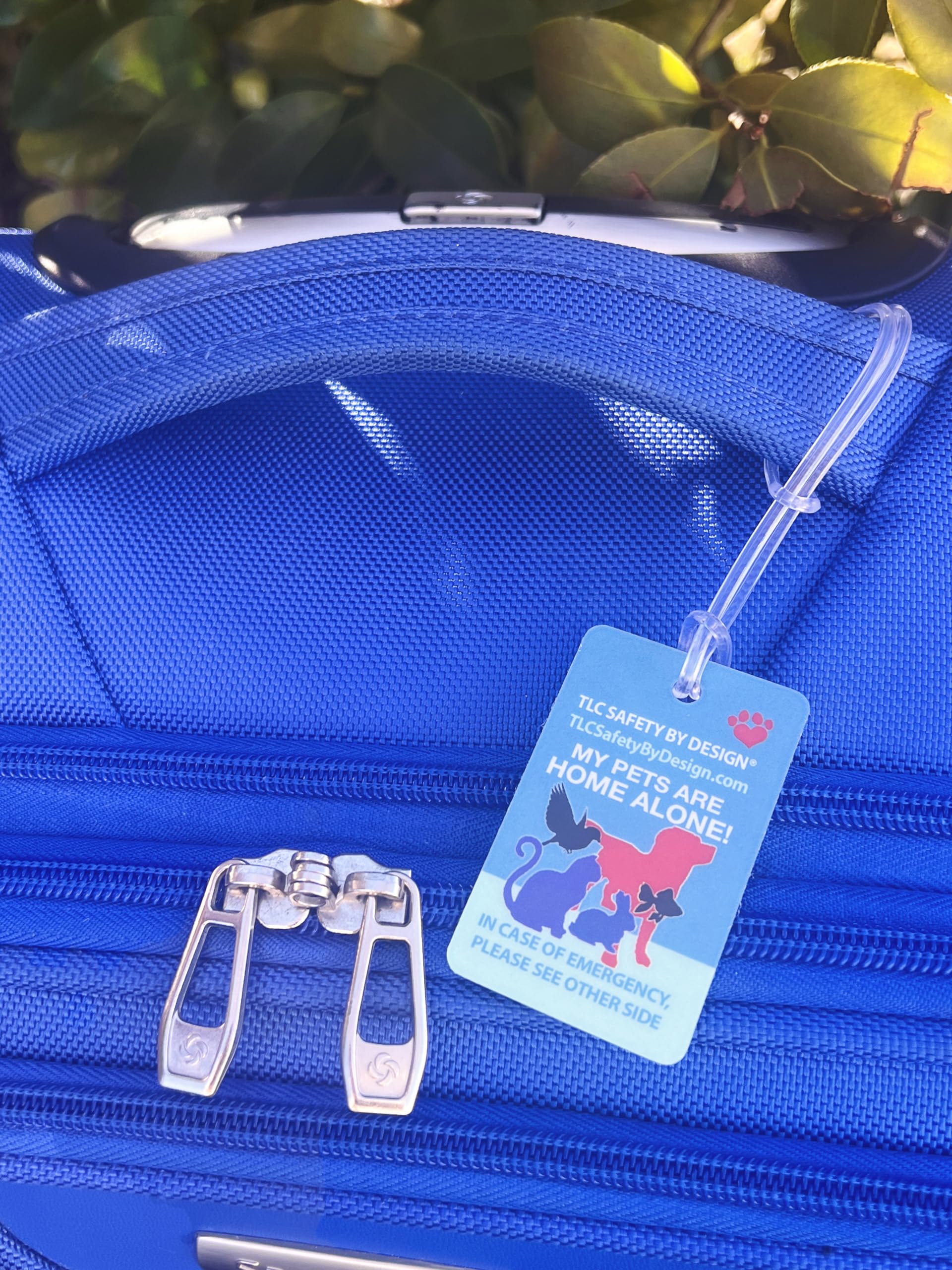 Tlc Safety By Design My Pets Dog Cat Are Home Alone Emergency Alert I.D. 2 Pk. Plastic Key Tags With Contact Call Card (Standard Set Of 2, Pets Home Alone Key Tag Set)