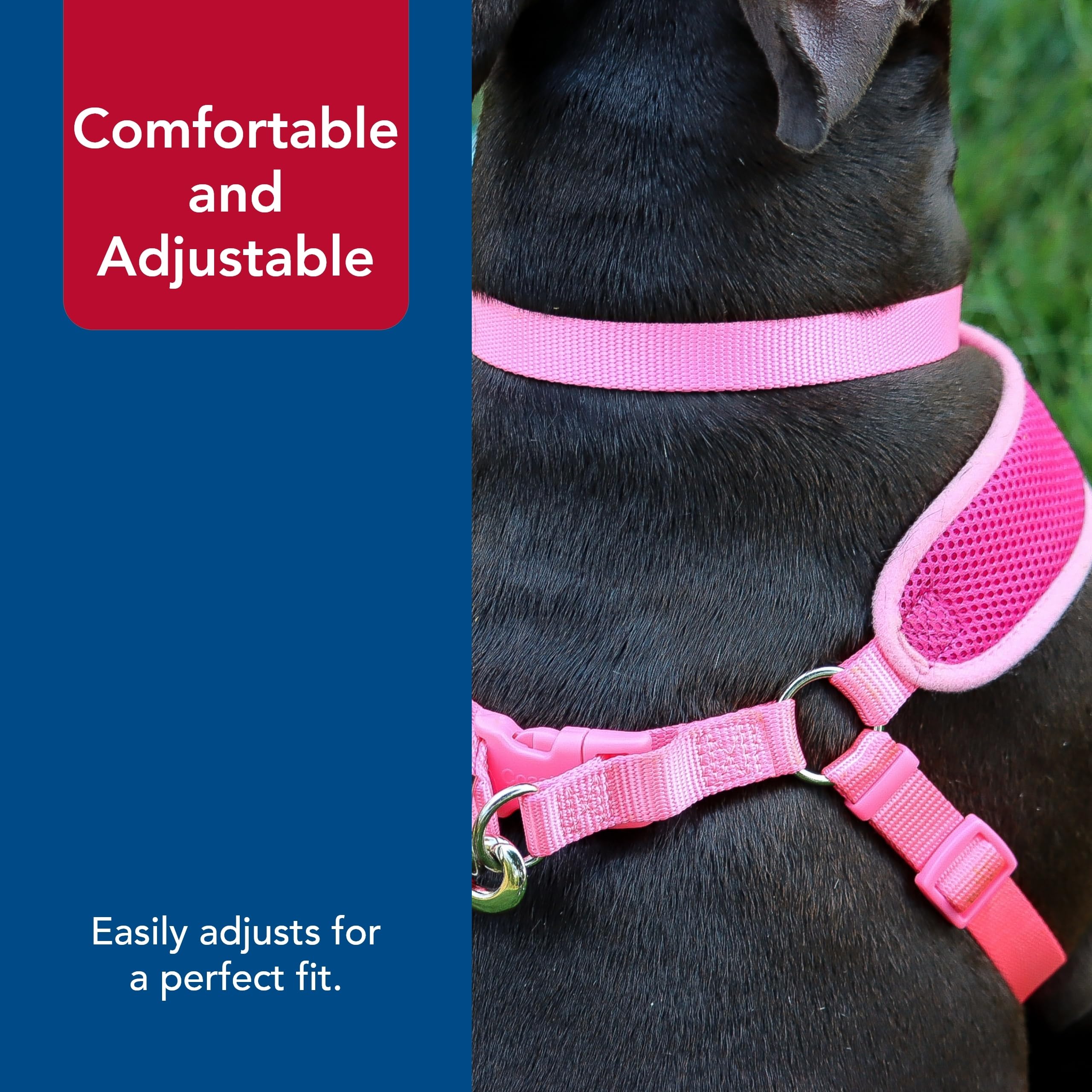 Coastal Pet Comfort Soft Wrap Adjustable Dog Harness - Comfortable Harness For Dog - Adjustable Fit - Easy Step-In Design - Breathable Fabric Mesh - Orchid, 5/8' X 16'-19'