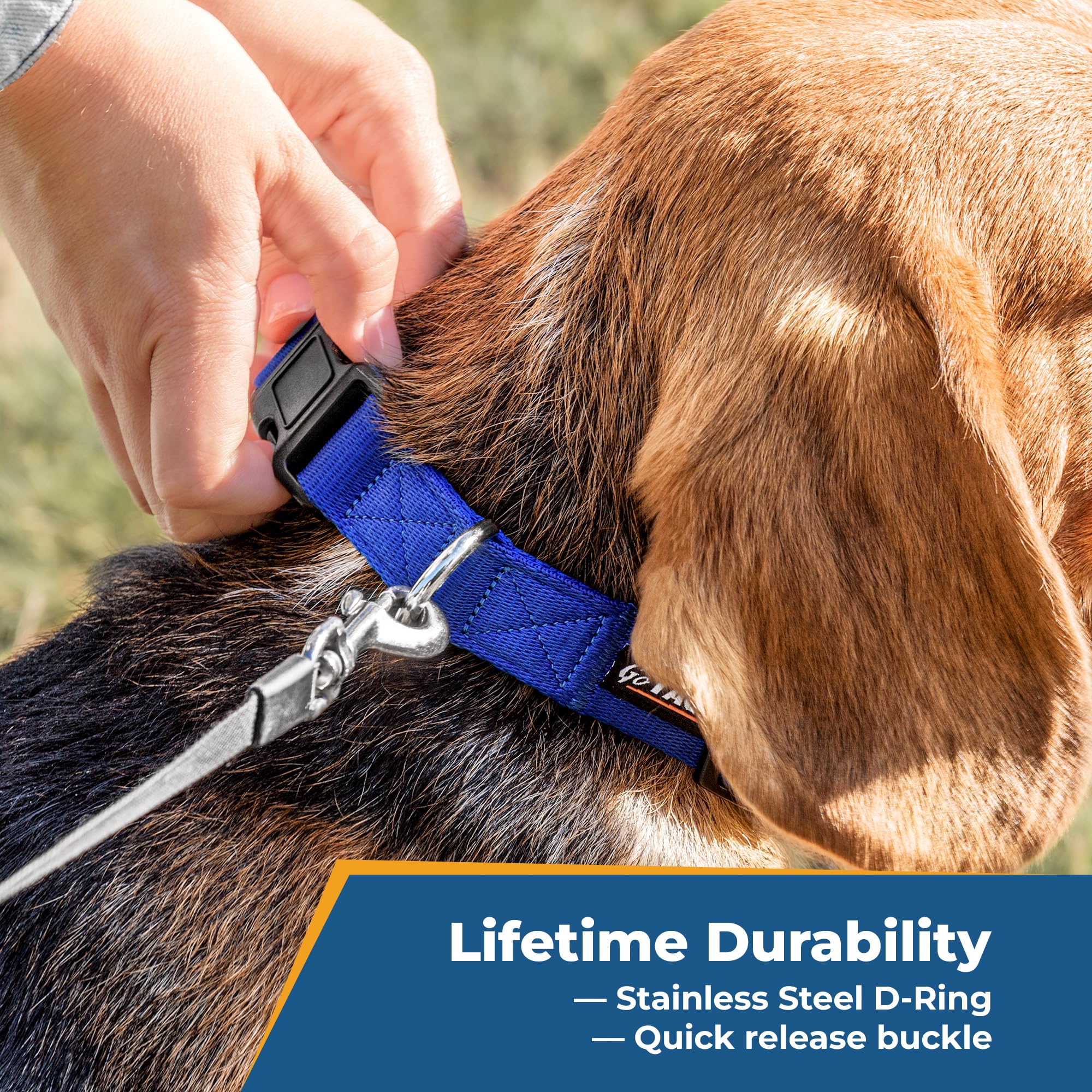 Gotags Personalized Dog Collar, Custom Embroidered Pet Id Dog Collar With Pet Name And Phone Number, Adjustable With Quick Relea