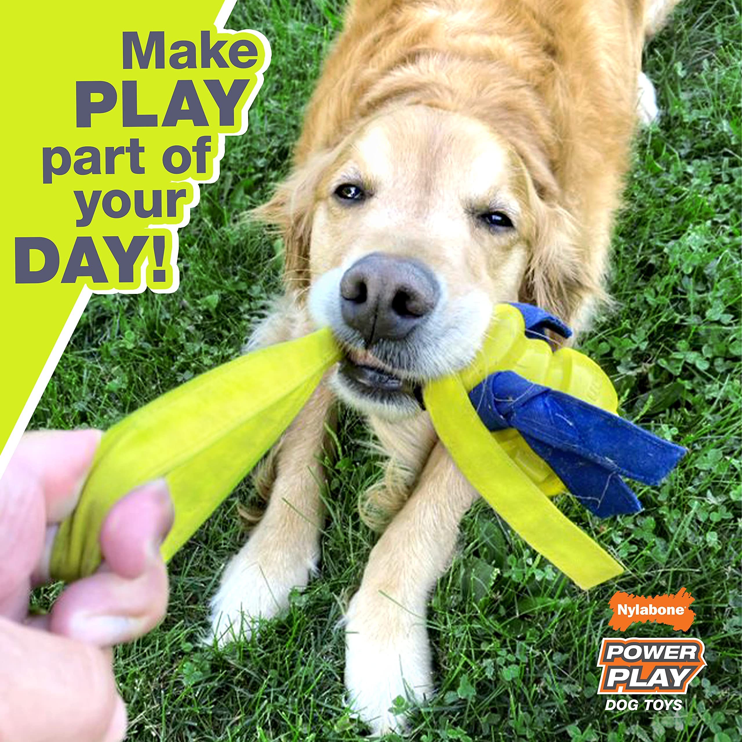 Nylabone Power Play Tennis Play 'N Fetch Interactive Dog Toy