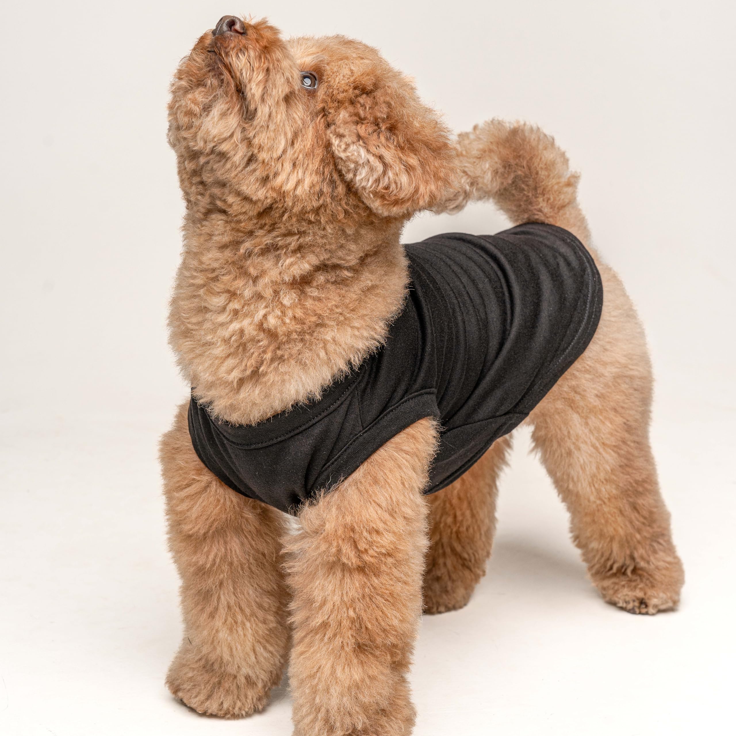 Soon To Be Big Brother Dog Tee Shirt | Sleeveless | Pregnancy Announcement | New Baby | Gender Reveal | Photoshoot (Black, Xx-La