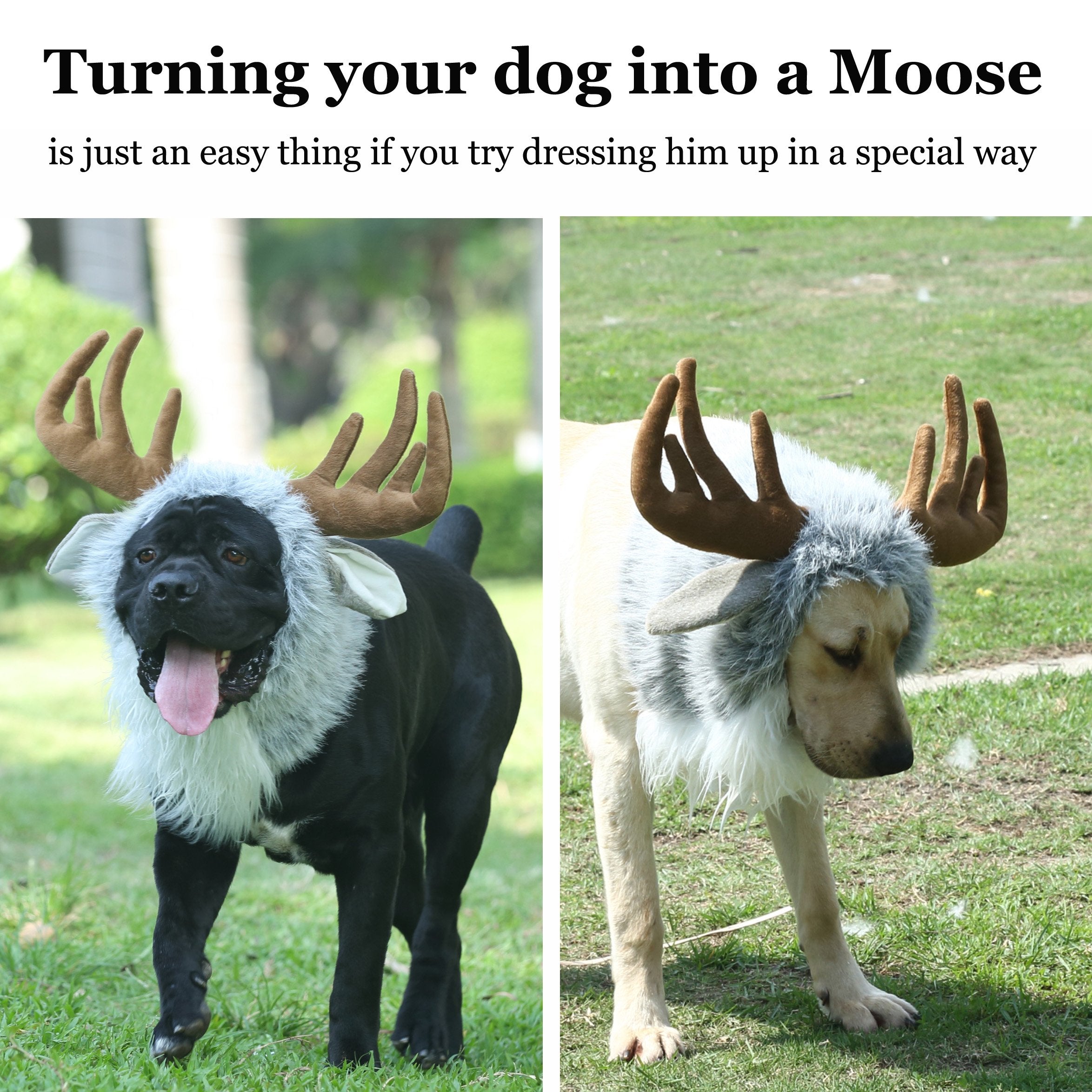 Onmygogo Funny Moose Costumes For Dog, Cute Furry Pet Wig For Halloween Christmas, Pet Clothing Accessories (Moose, Size L)
