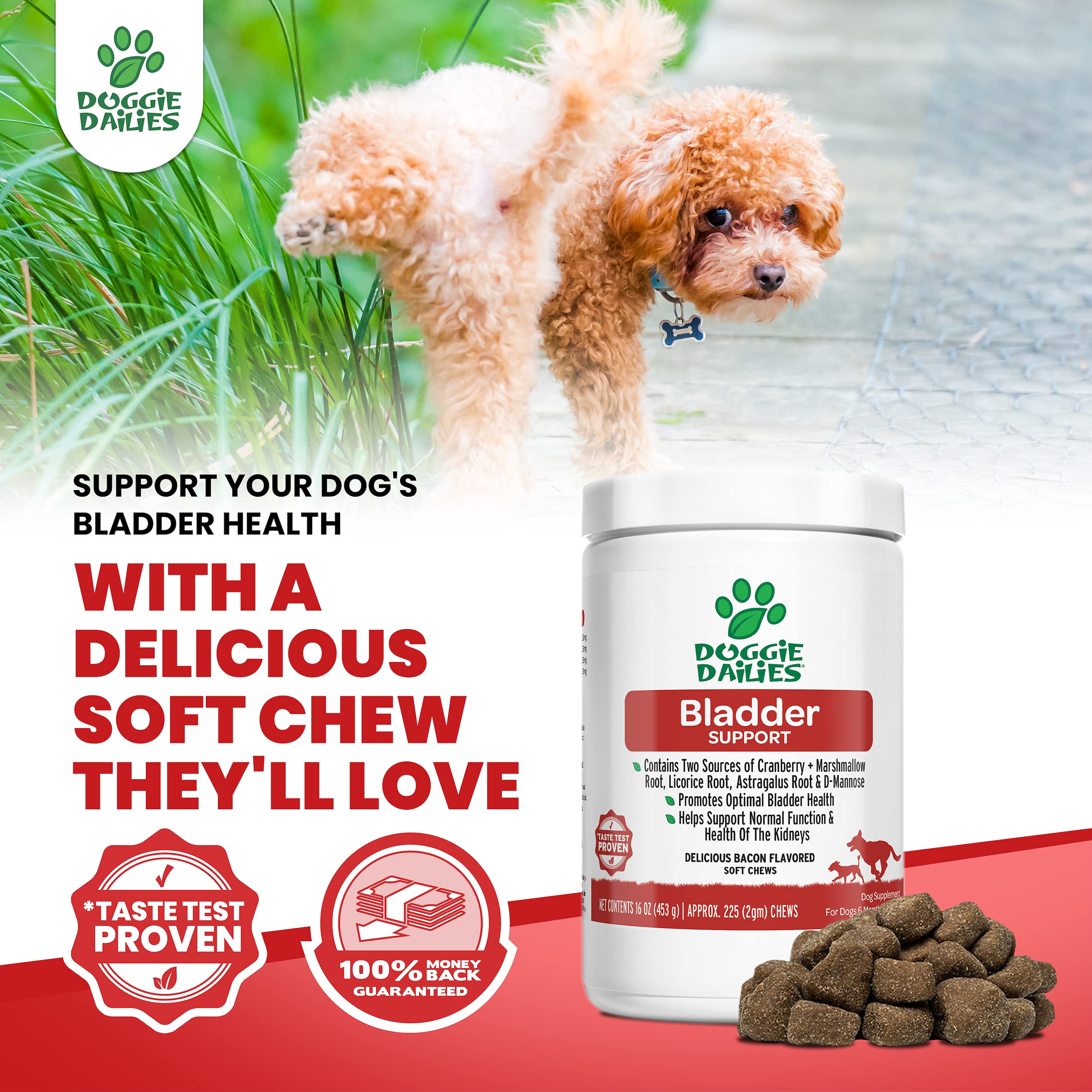 Doggie Dailies Cranberry Supplement for Dogs, 225 Soft Chews, Urinary Tract, Bladder & Kidney Support for Dogs, Cranberry for Do