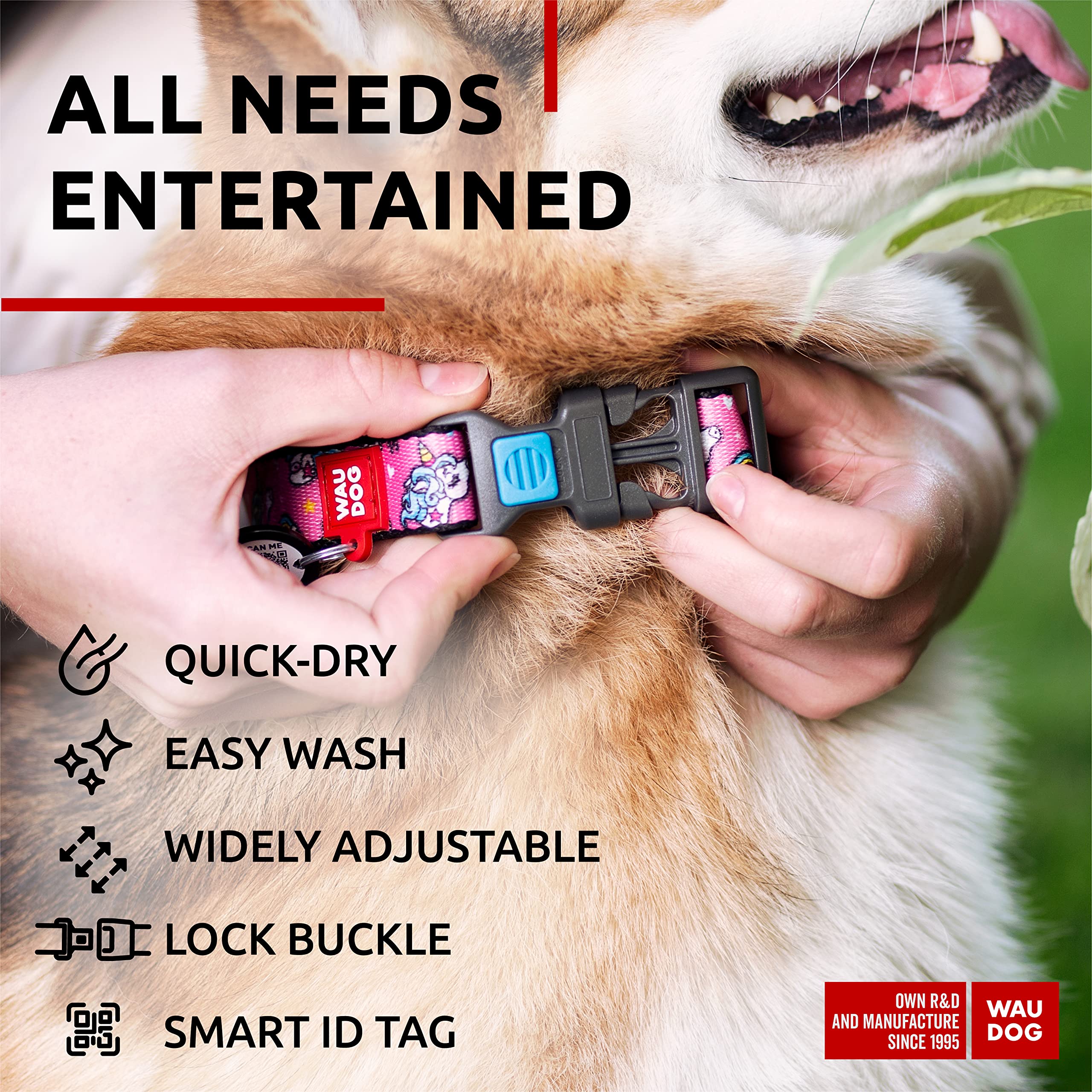 Nylon Dog Collar - Adjustable Dog Collar For Large Dogs, Small & Medium Dogs - Breakaway Puppy Collars For Large Breed Dogs - Bo