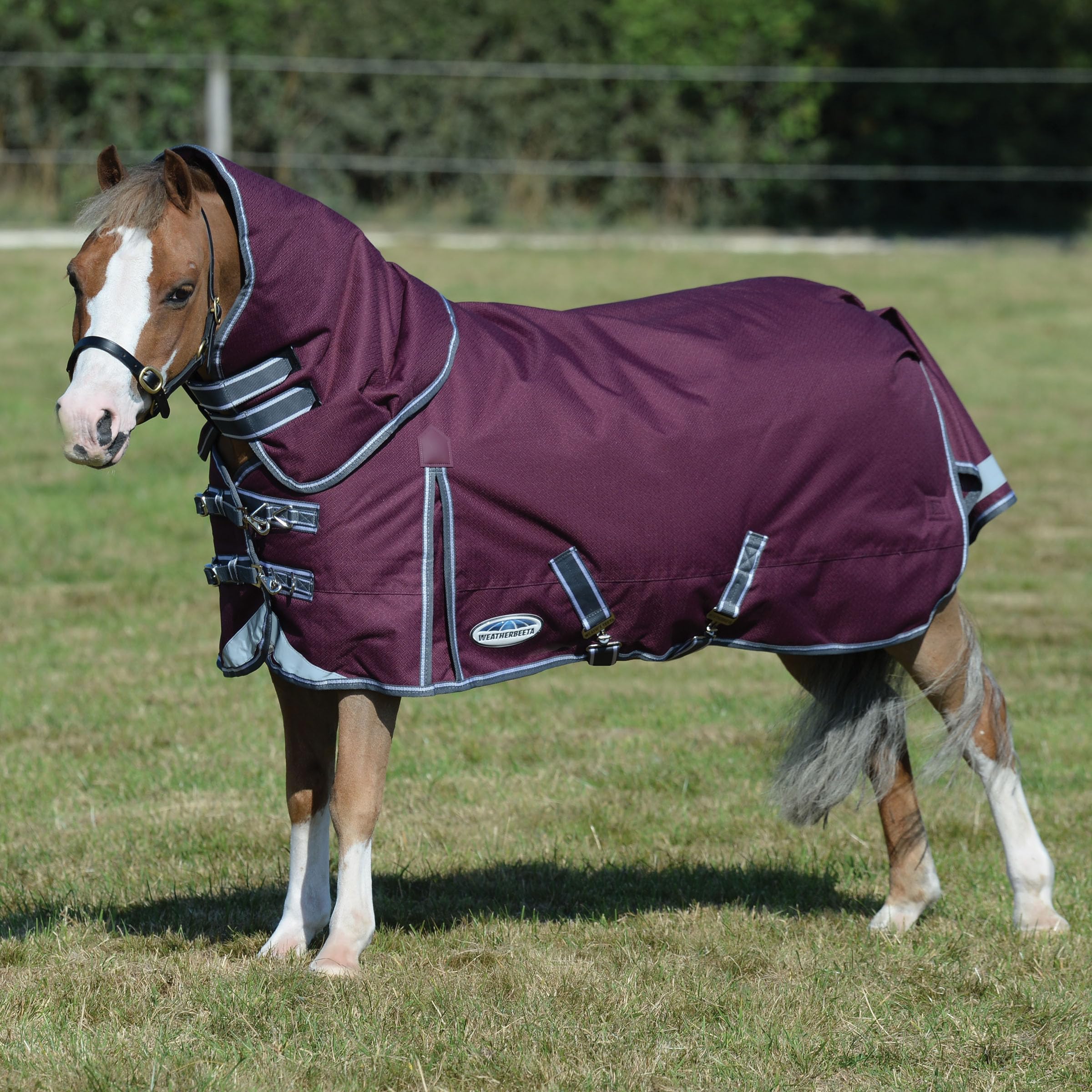 Weatherbeeta Comfitec Plus Dynamic Ii Detach-A-Neck Medium, Maroon/Grey/White, 54''