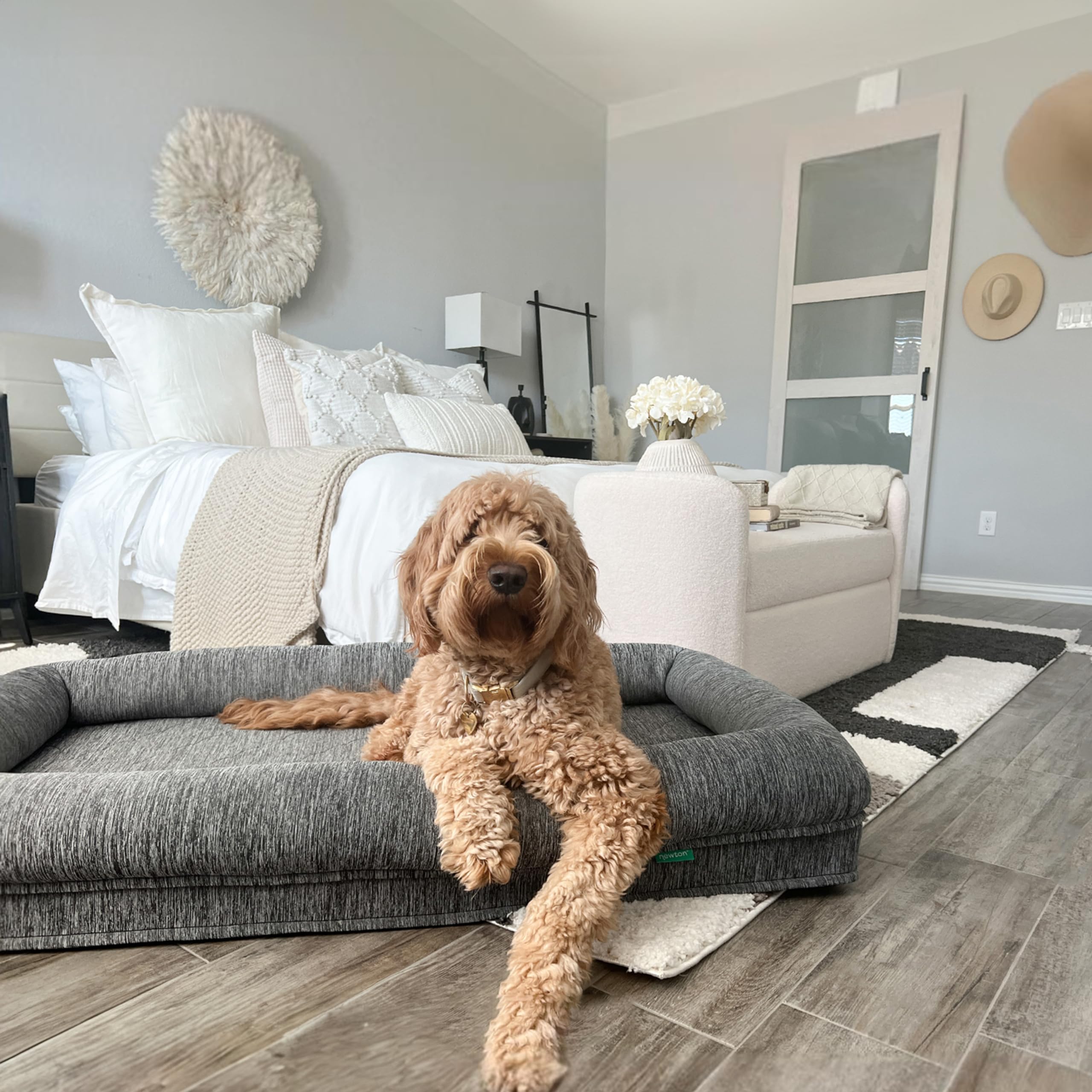 Newton Orthopedic Pet Bed - Washable Bed For Large Dogs, Puppy Bed, Crate Bed, With Removable & Breathable Dog Bed Cover, Comfy 