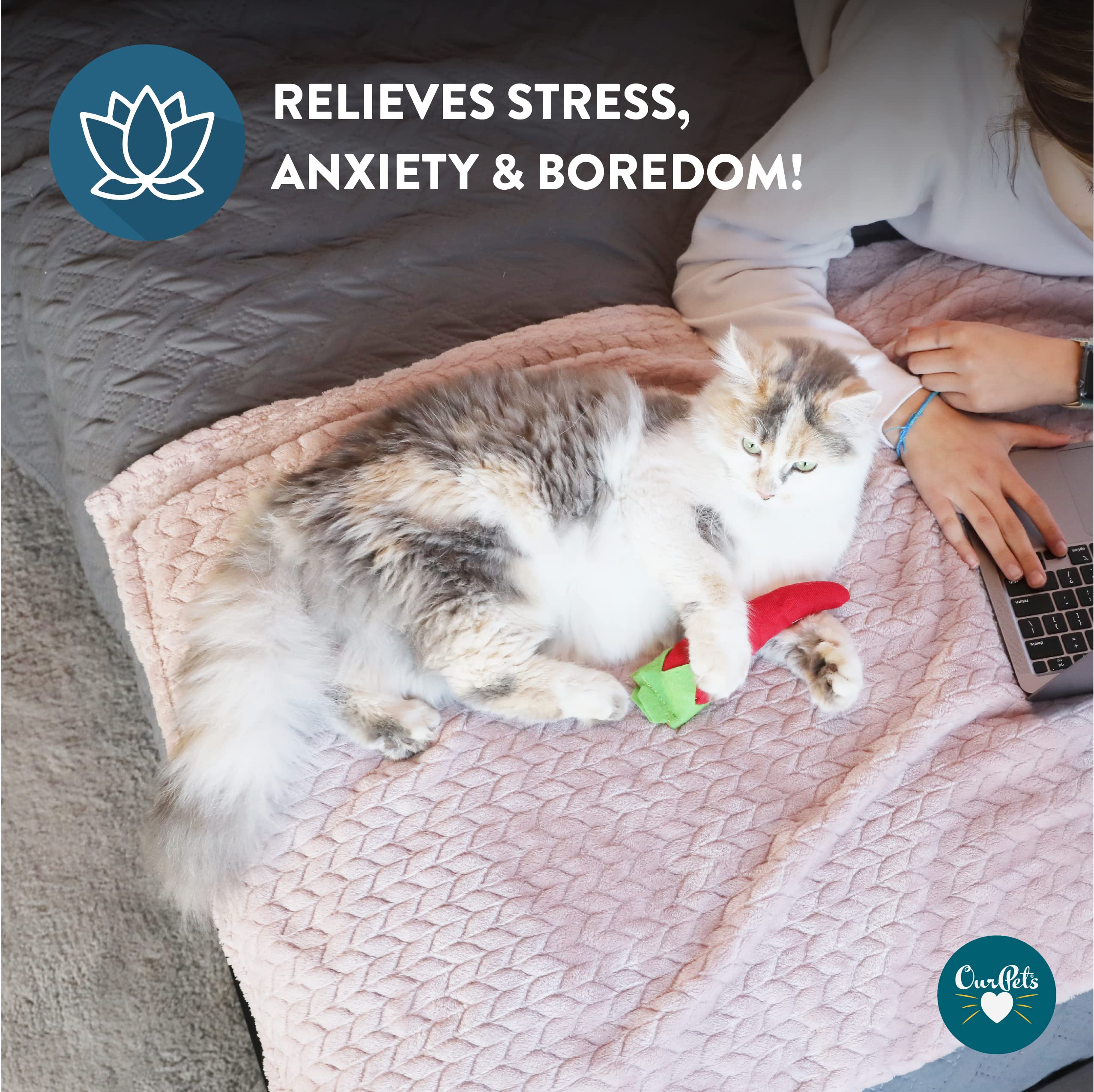 Cosmic Ourpets 100-Percent North American Catnip Filled Chili Cat Toy-Hot Stuff (Interactive Cat Toys; Catnip Toys)