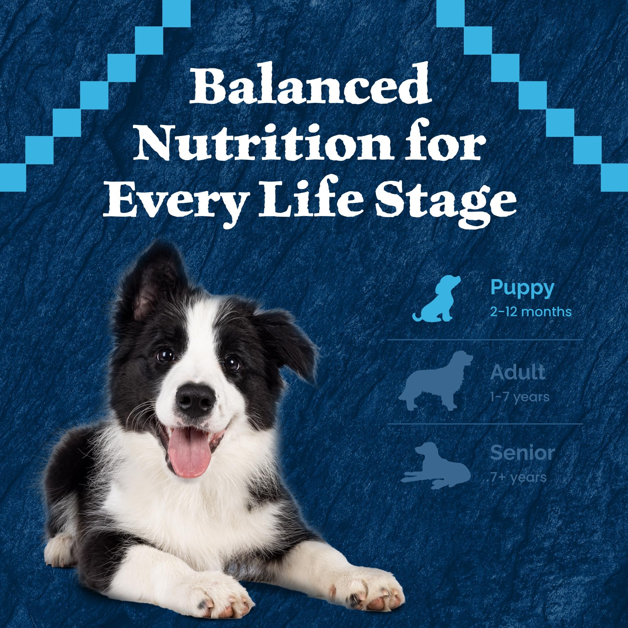 Blue Buffalo Wilderness Rocky Mountain Recipe High-Protein Dry Puppy Food with DHA, Made in the USA with Natural Ingredients Plu