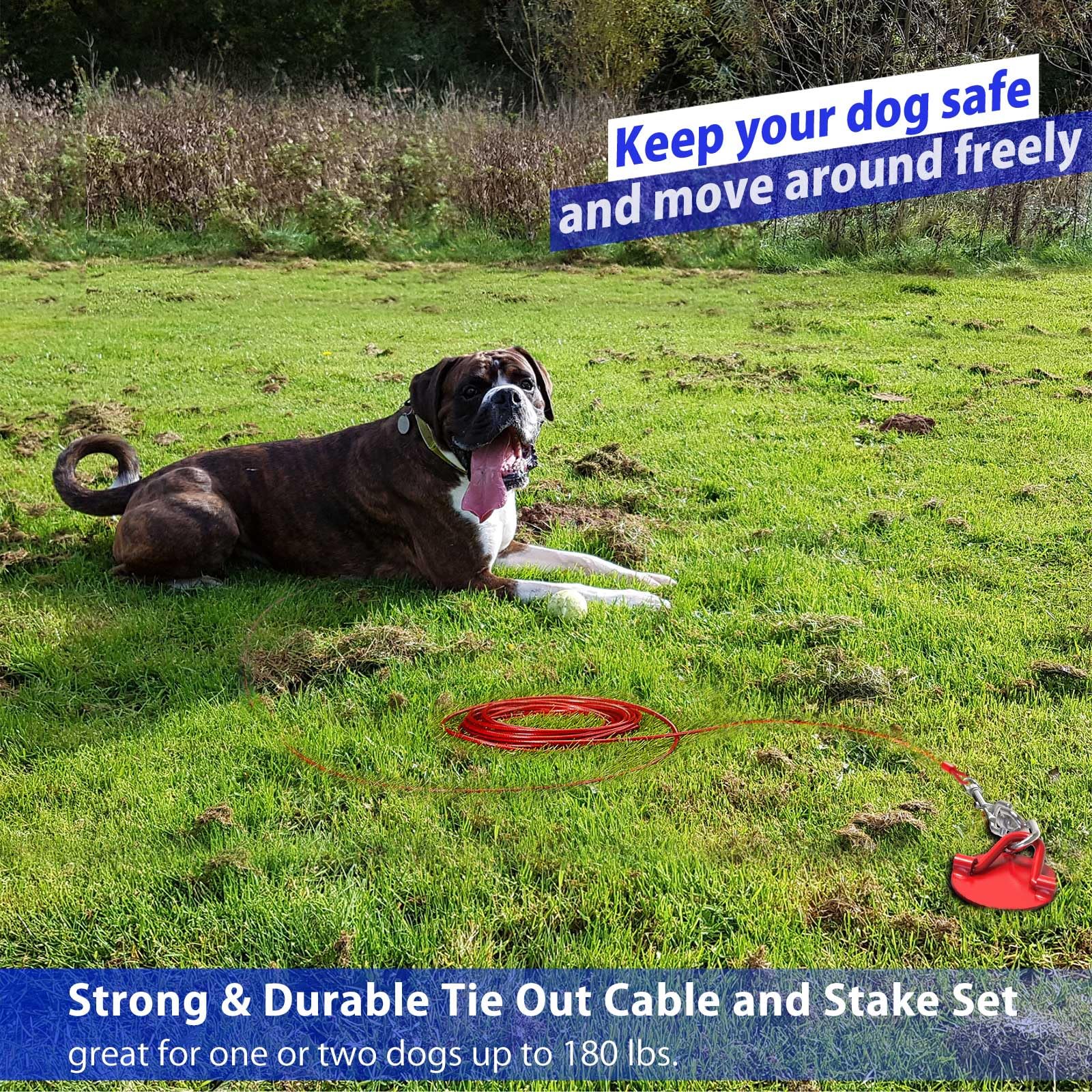 Heavy Duty Dog Tie Out Cable And Stake - 360 No Tangle Dog Yard Stake And Leash For Small To X-Large Dogs Or Two Dogs Up To 180