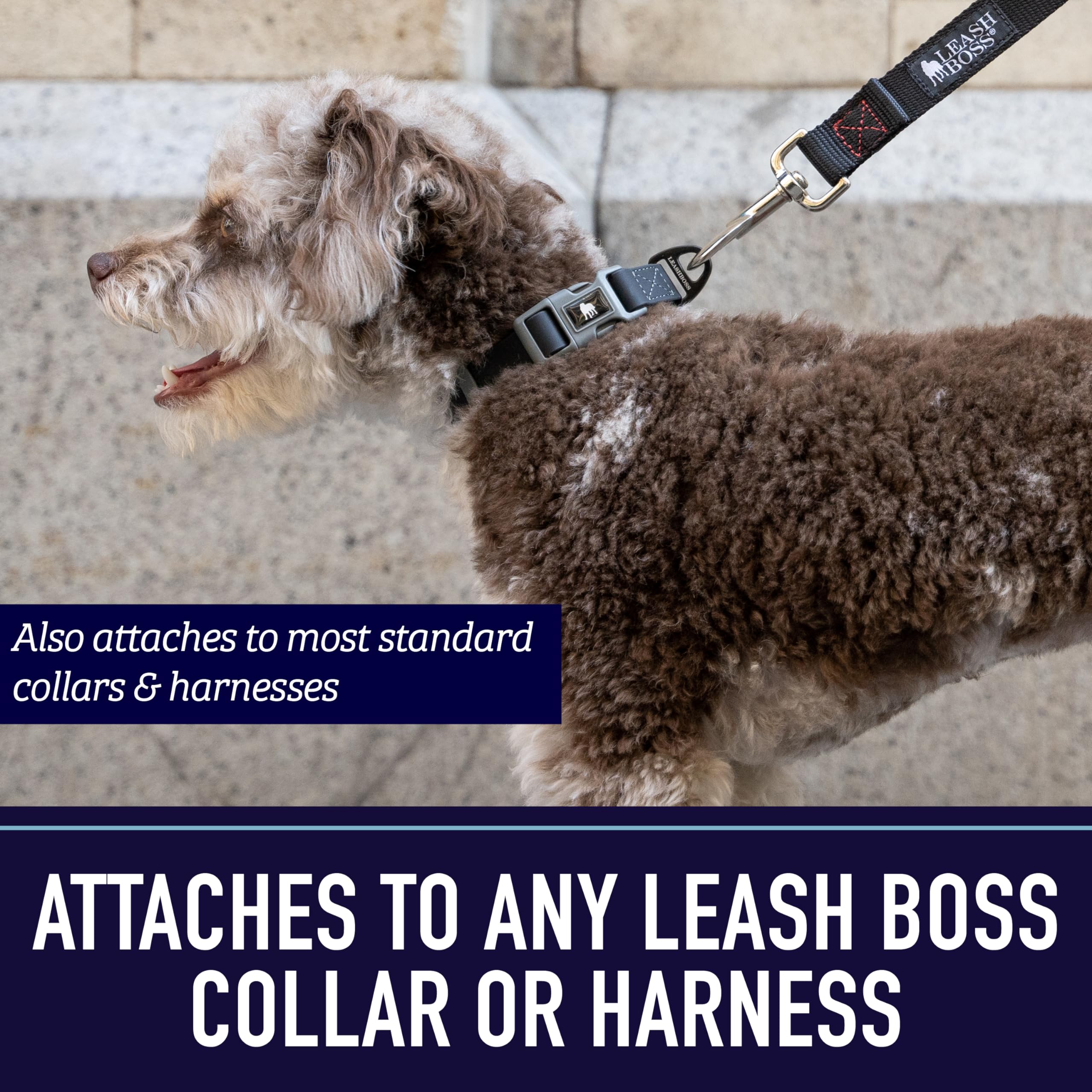 Leash Boss 10 Foot Dog Leash With Padded Handle - Long Leash For Hiking, Camping, Exploring, Or Walking (10 Feet, Orange)