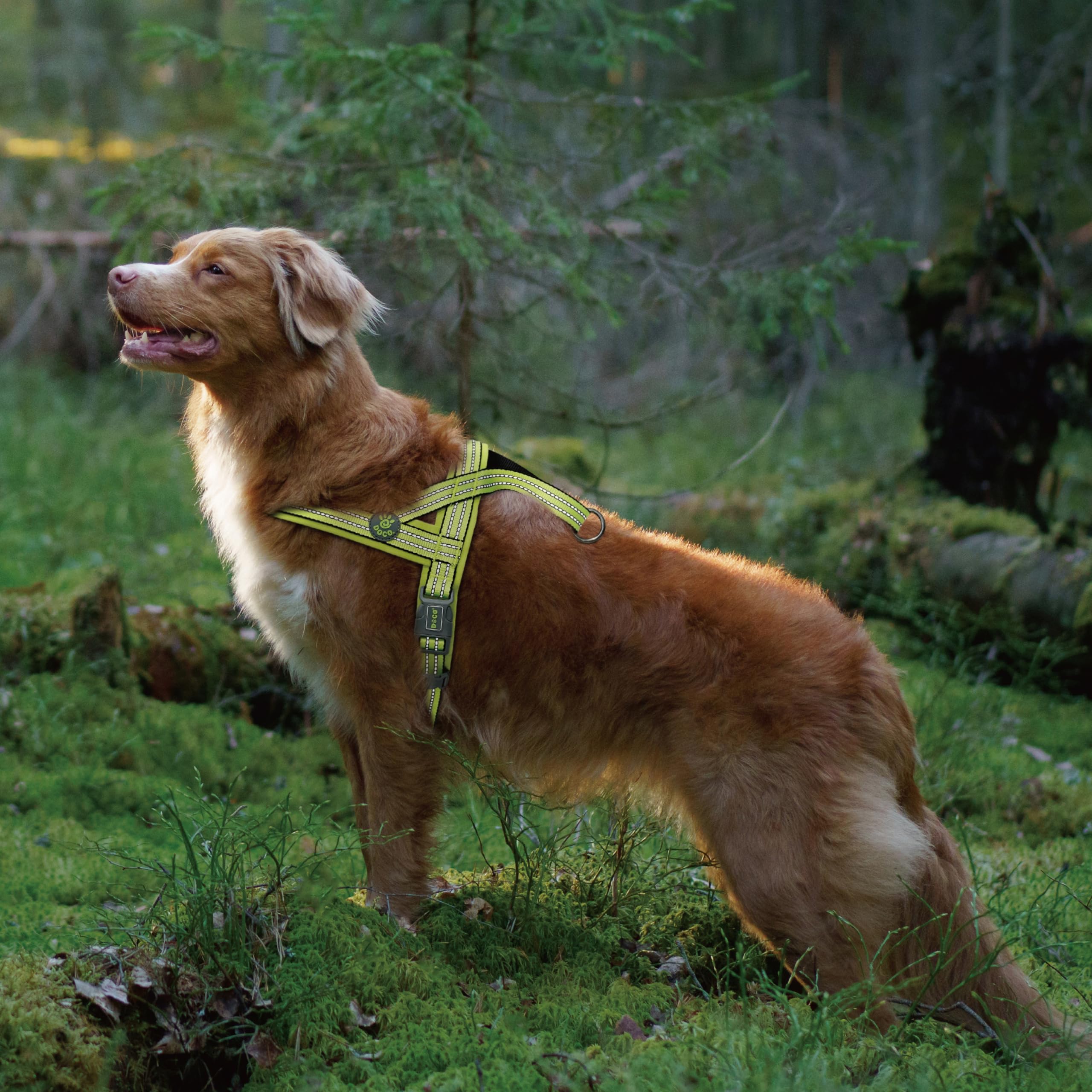 Doco No-Pull Dog Harness Halter Reflective Easy-Control Harness For Training, Walking, And Preventing Pulling, Ideal For Large D