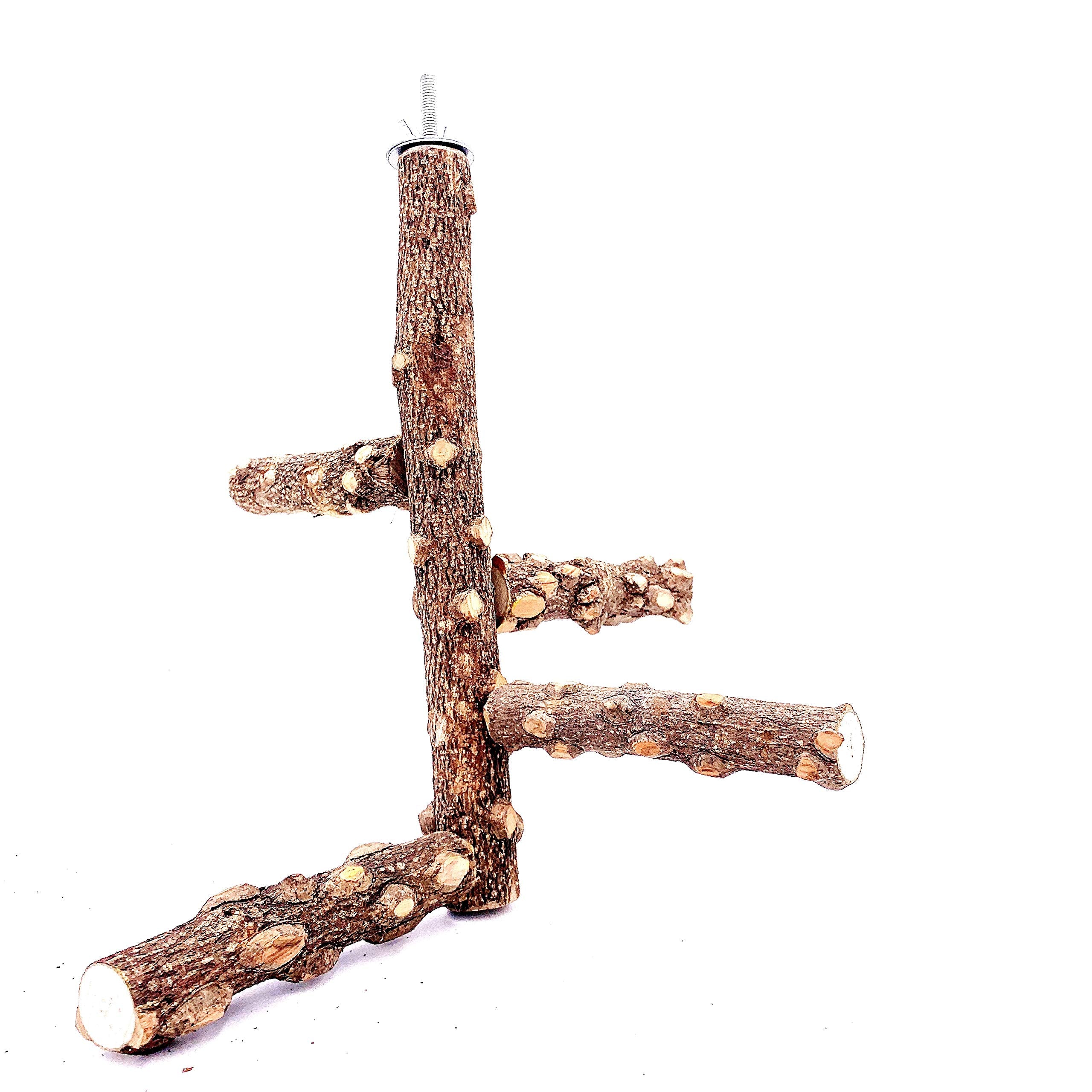 Borangs Bird Perch Natura Wood Stand Toy Branch For 3-4Pcs Small Medium Parrots Cages Toy S