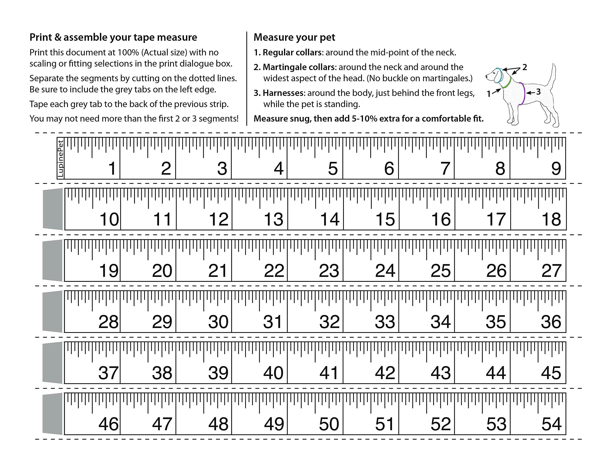Lupinepet Originals 1' Turtle Reef 24-38' Step In Harness For Large Dogs