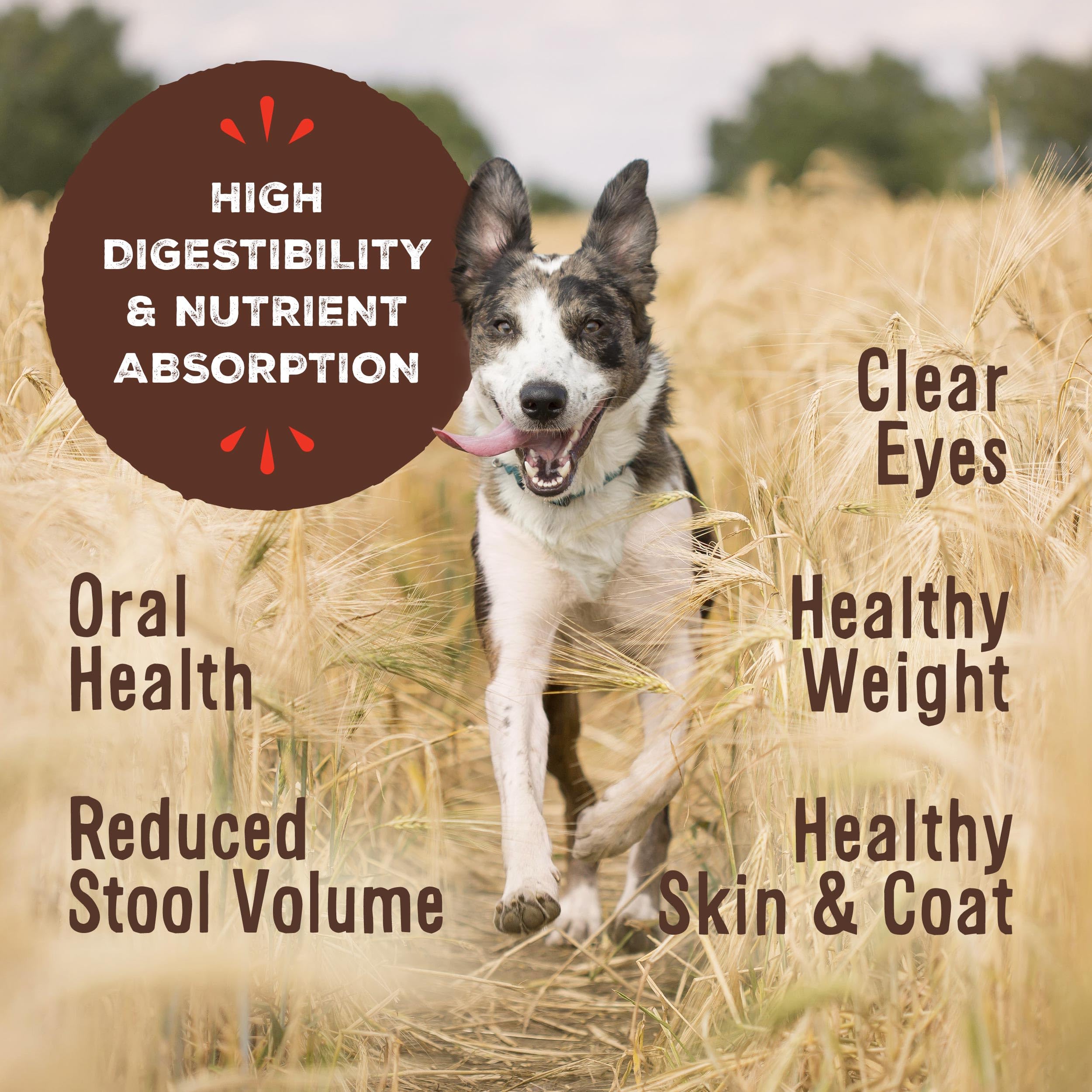 Primal Freeze Dried Dog Food Nuggets, Lamb, Grain Free, 14 oz (Pack of 2) - Healthy Raw Dog Food, Made in the USA