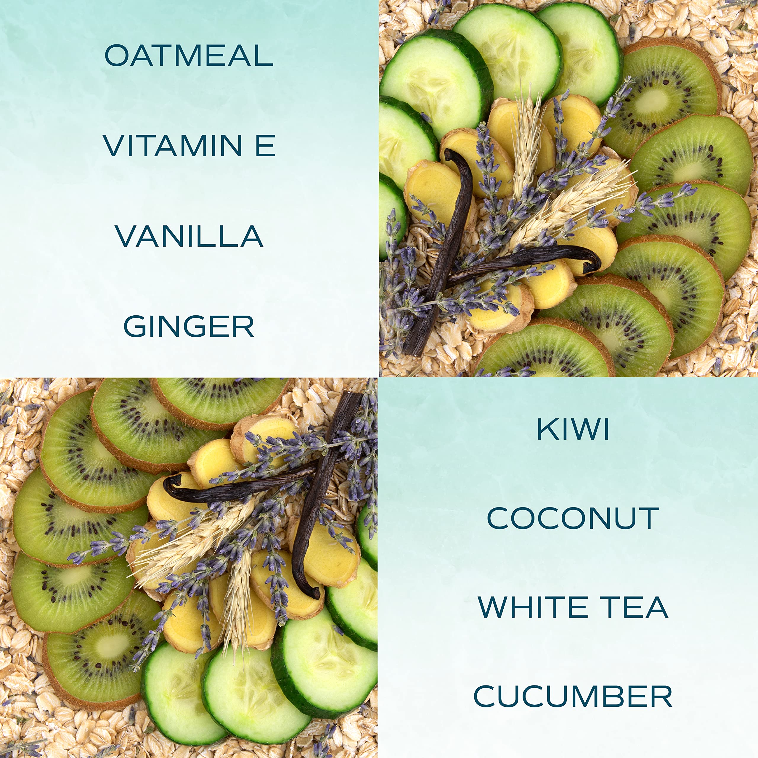 Tropiclean Spa Lavish Dog Shampoo | Fresh Scented Deodorizing Dog Shampoo | Naturally Derived Salon Grade Ingredients | Made In The Usa | 1 Gallon