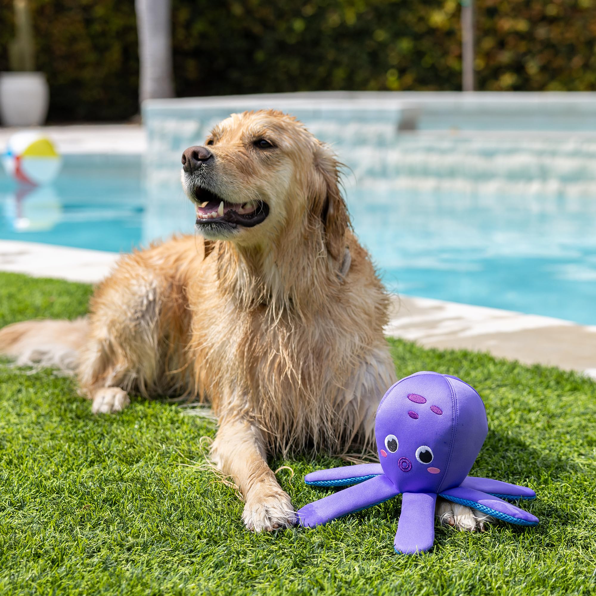 Fringe Studio ''Bubbles Floating Dog Toys, Pet Shop Collection (640003)