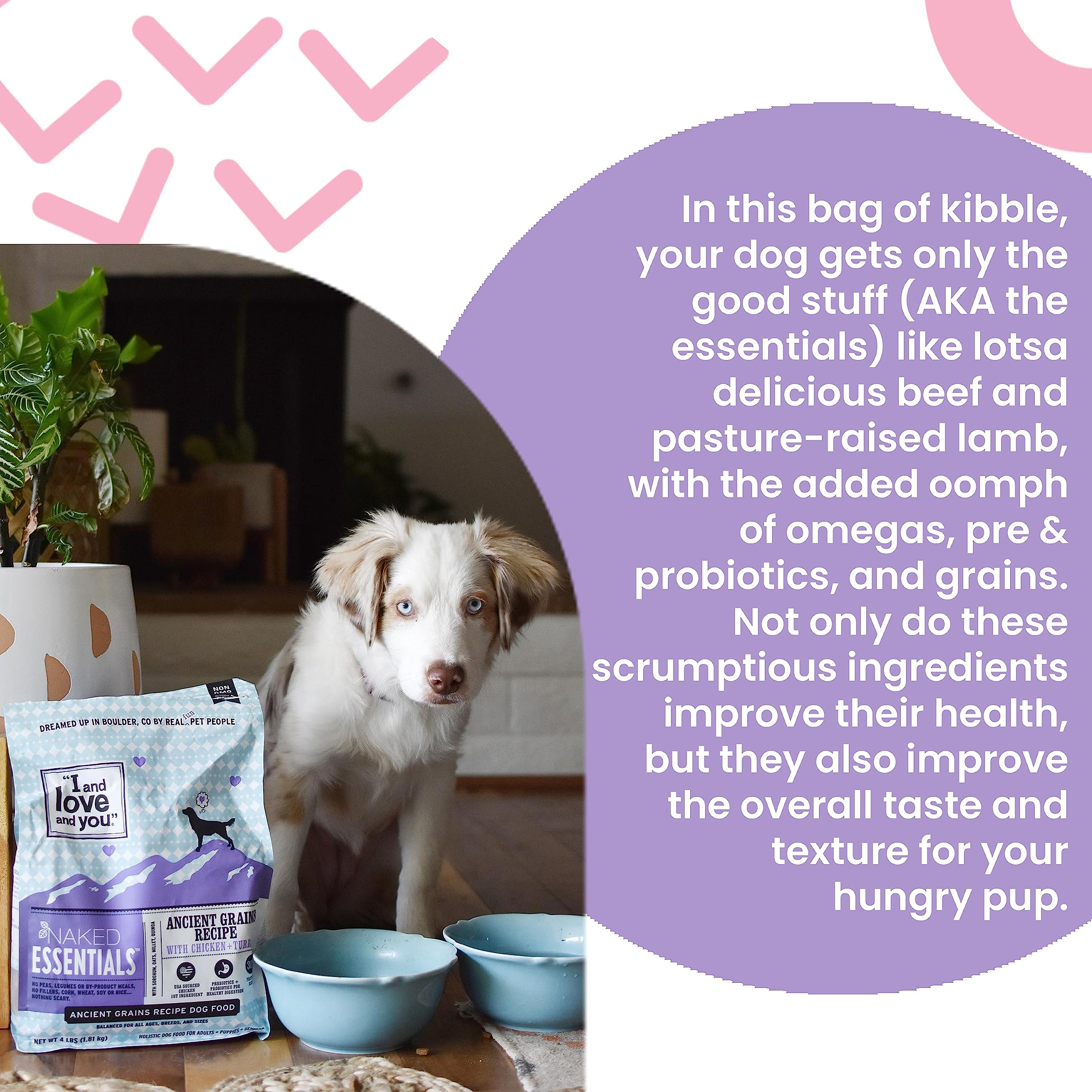 I and love and you Naked Essentials Ancient Grains Dry Dog Food - Chicken + Turkey - High Protein, Real Meat, No Fillers, 4lb Ba