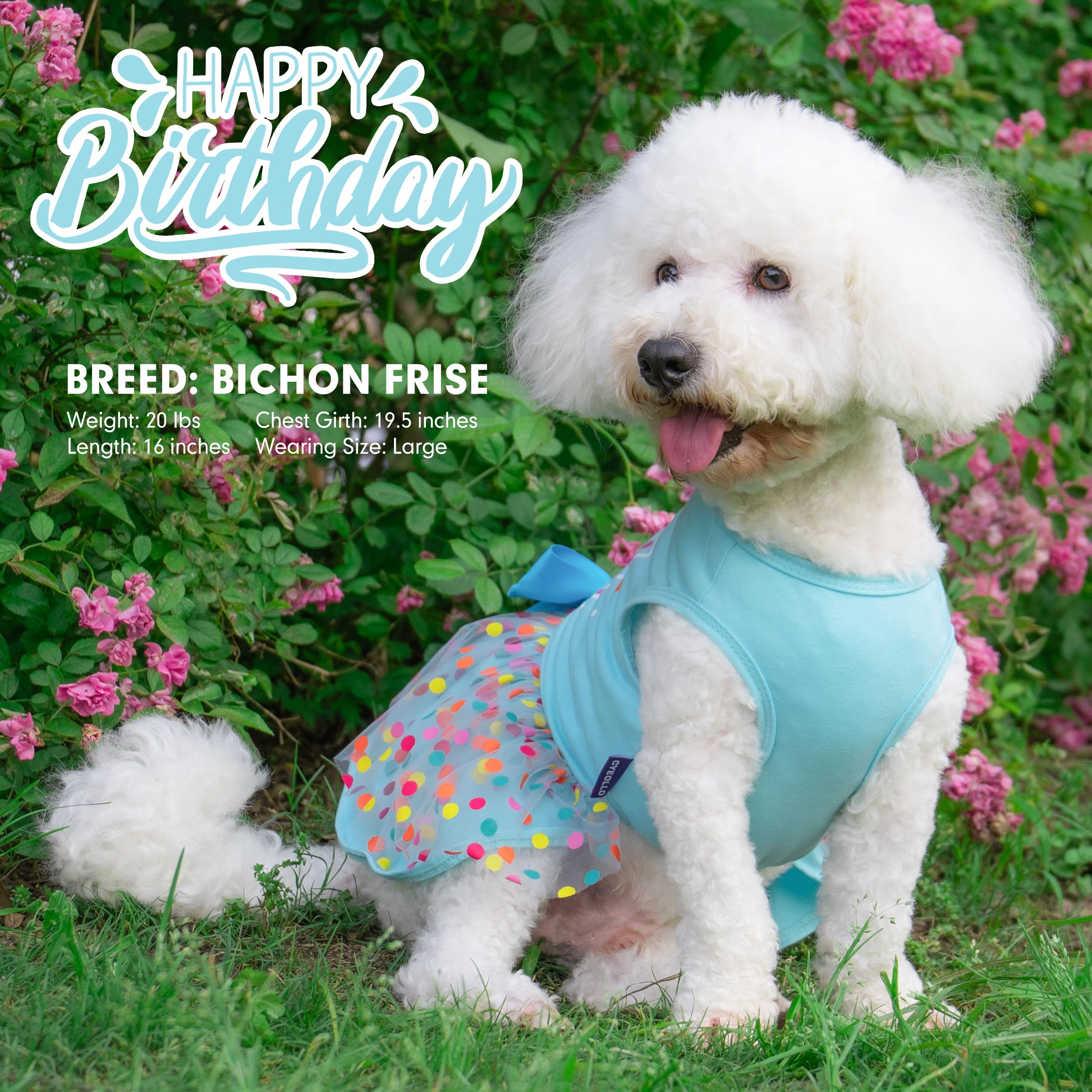 Cyeollo Dog Birthday Dress Party Tulle Dog Clothes Girl Dog Dresses For Small Medium Dogs Pet Holiday Outfit Apparel, Blue, M