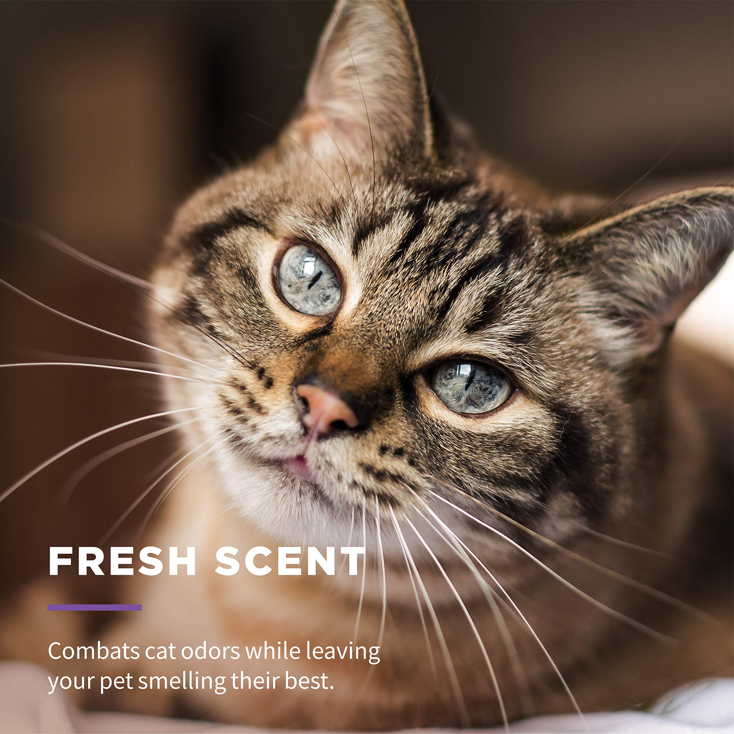 Wet Ones Freshening Multipurpose Wipes for Cats, 50 Count - 3 Pack, Aloe Vera, Easy to Use Grooming Wipes, Model FF12853PCS3