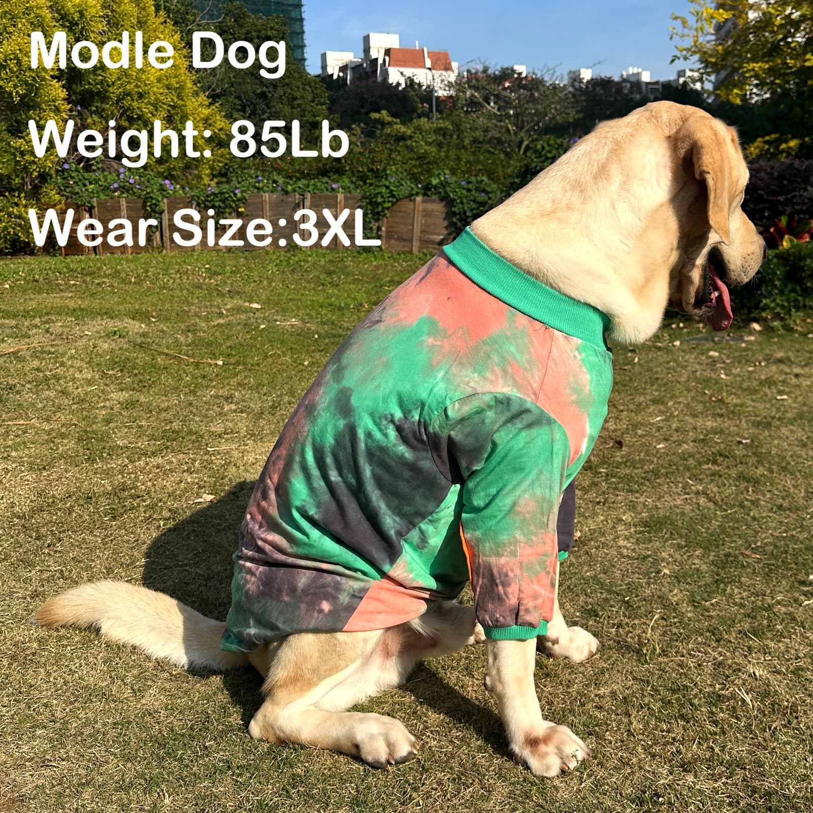 Pripre Dog T Shirt Striped Tie Dye Dog Clothes For Large Dogs Breathable Stretchy Cotton Clothes Dog Pajamas (Greenorange, Xxl)