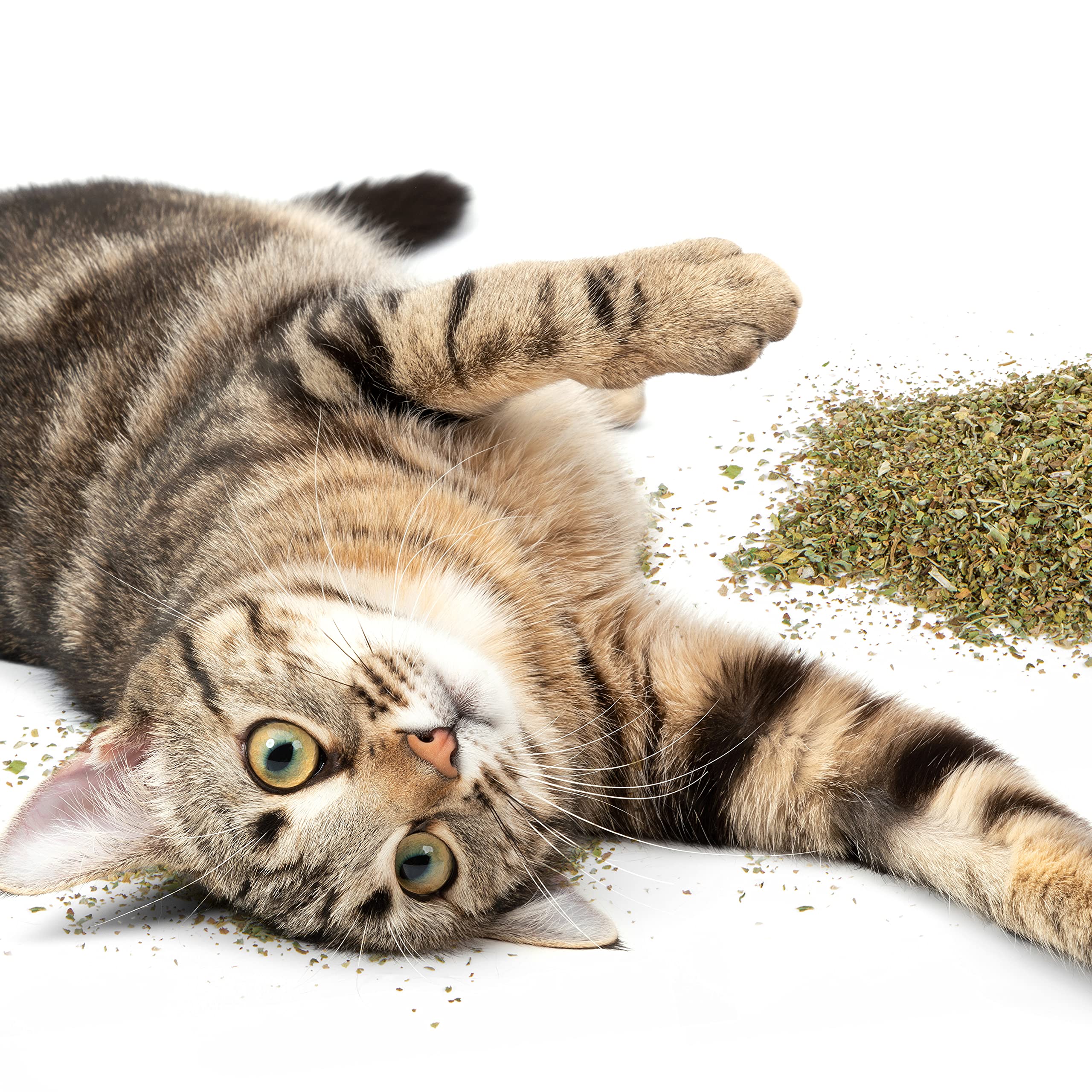 Petlinks Pure Bliss 100% Certified USDA Organic Catnip for Cats & Kittens, Pure & Potent Stimulant/Attractant, Resealable Pouch