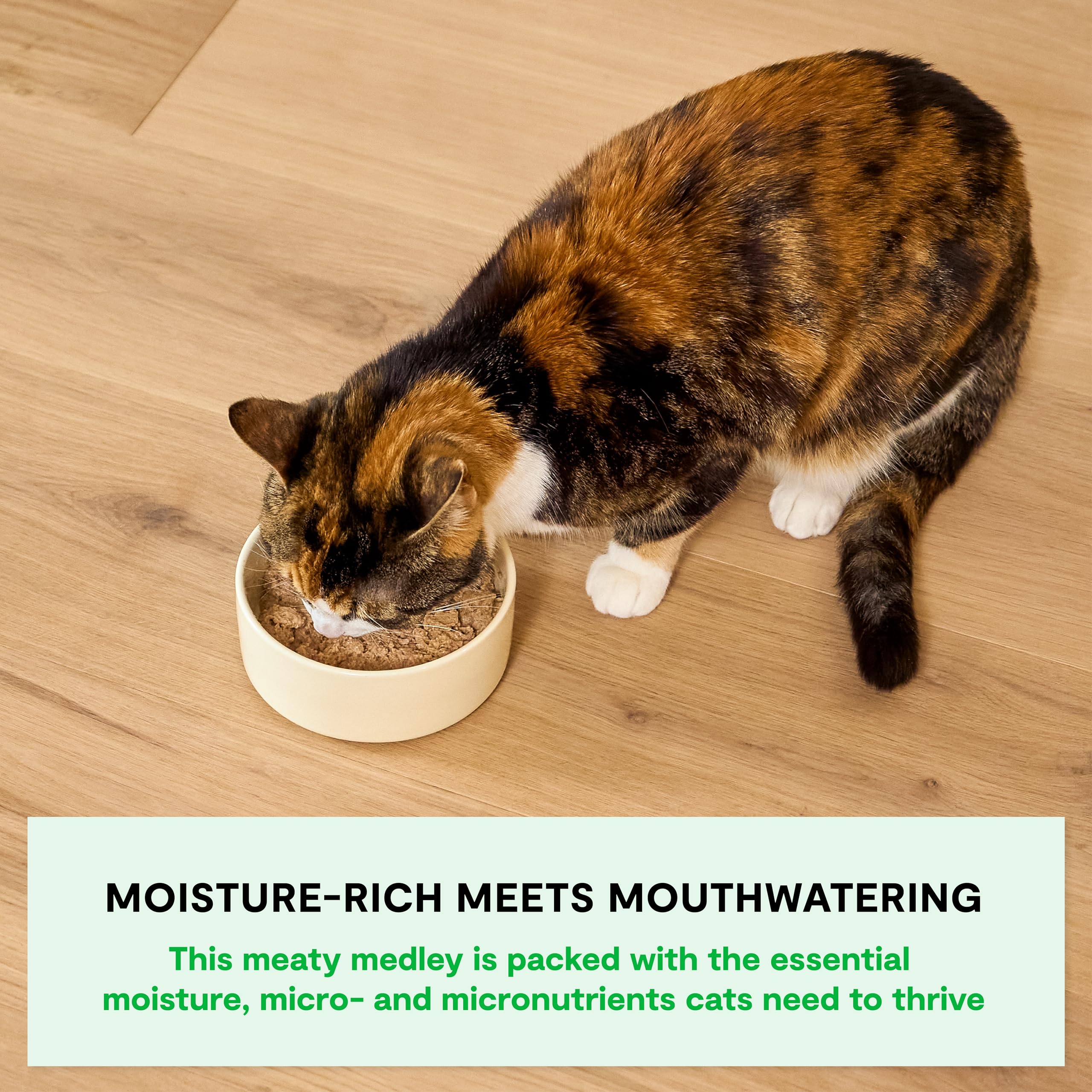 Open Farm Rustic Blend Wet Cat Food, Human-Grade Ingredients, 5.5oz Packs, Case of 12