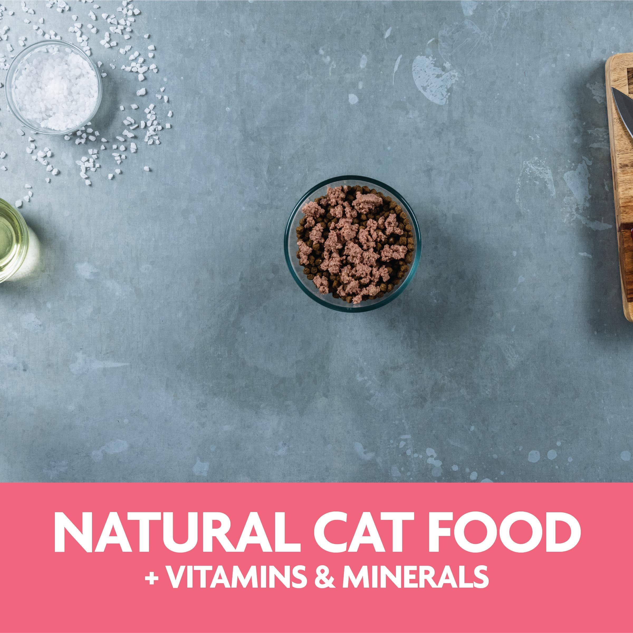 Evolve Classic Crafted Meals Salmon Recipe Cat Food (Pack of 15)
