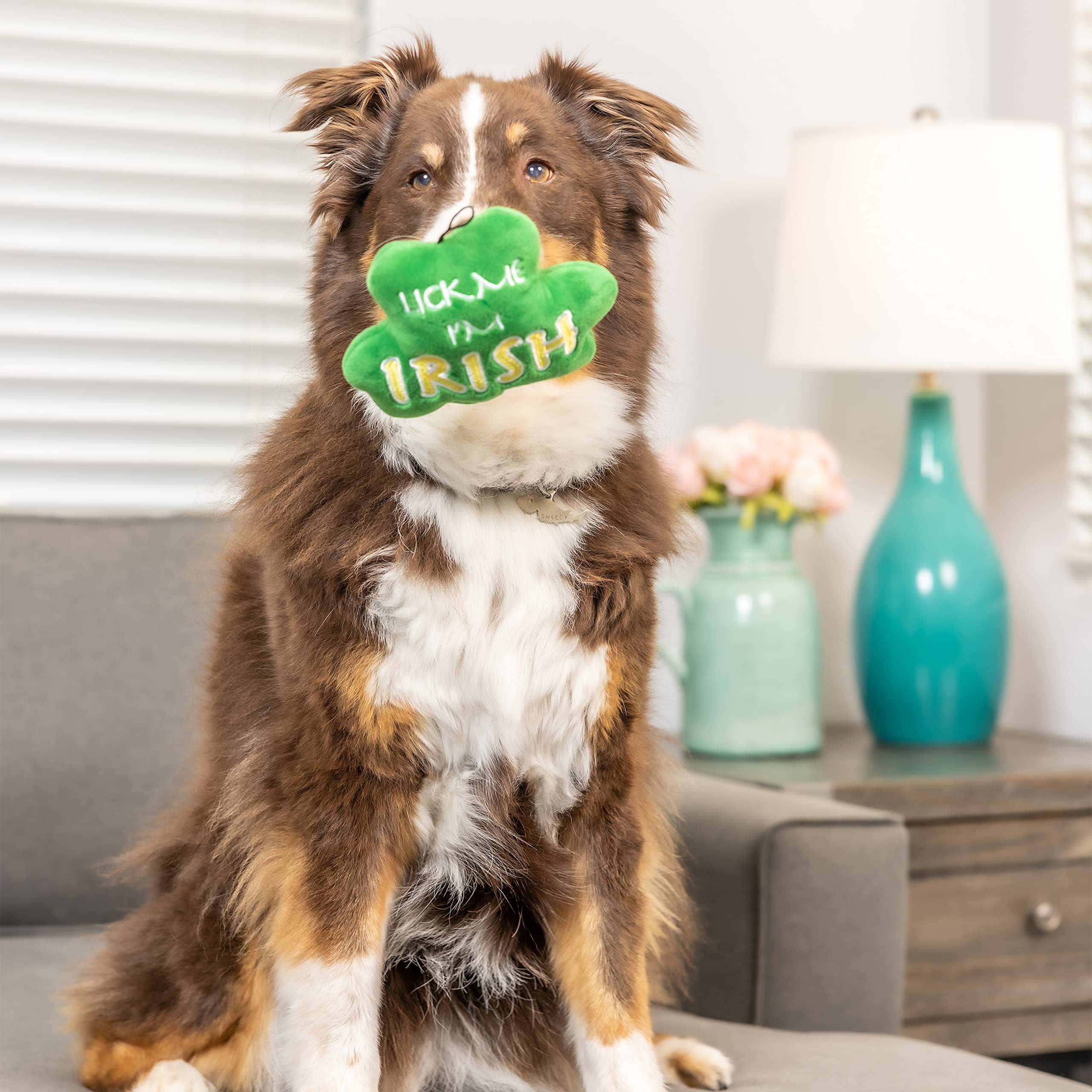Huxley & Kent For Dogs - Lick Me Shamrock - St. Patricks Day Power Plush Dog Toy With Squeaker - Funny Dog Toy - Fun, Durable, A