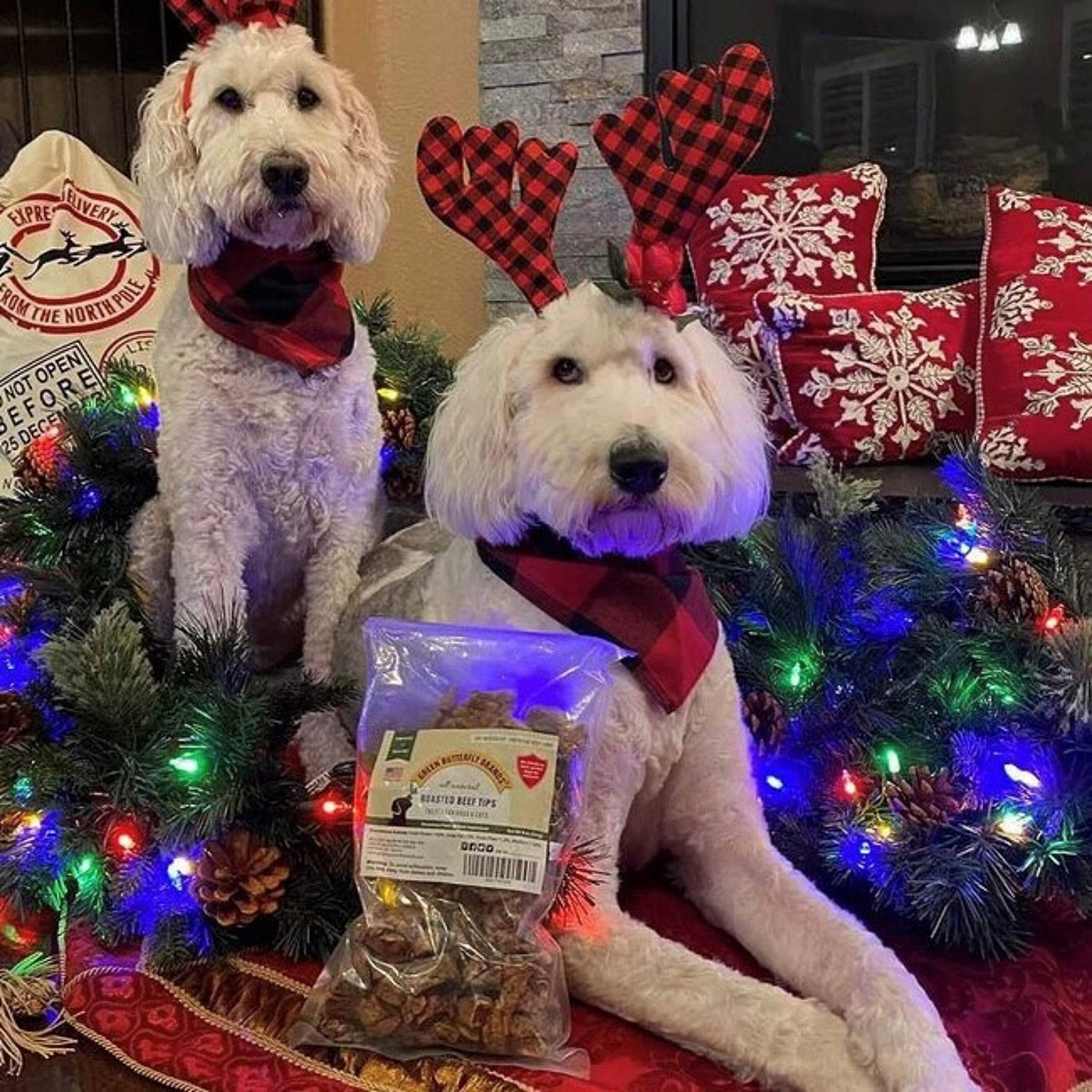 Green Butterfly Brands Premium Dog Treats Made in USA Only Natural, Meaty Beef Tips Slow Roasted, Crunchy American Beef Farm Rai