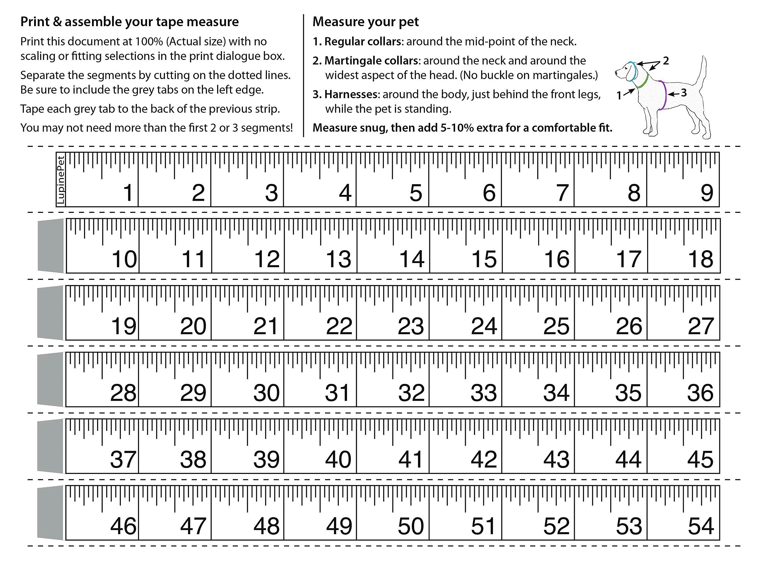 Lupinepet Basics 1' Blaze Orange 24-38' Adjustable Roman Dog Harness For Large Dogs