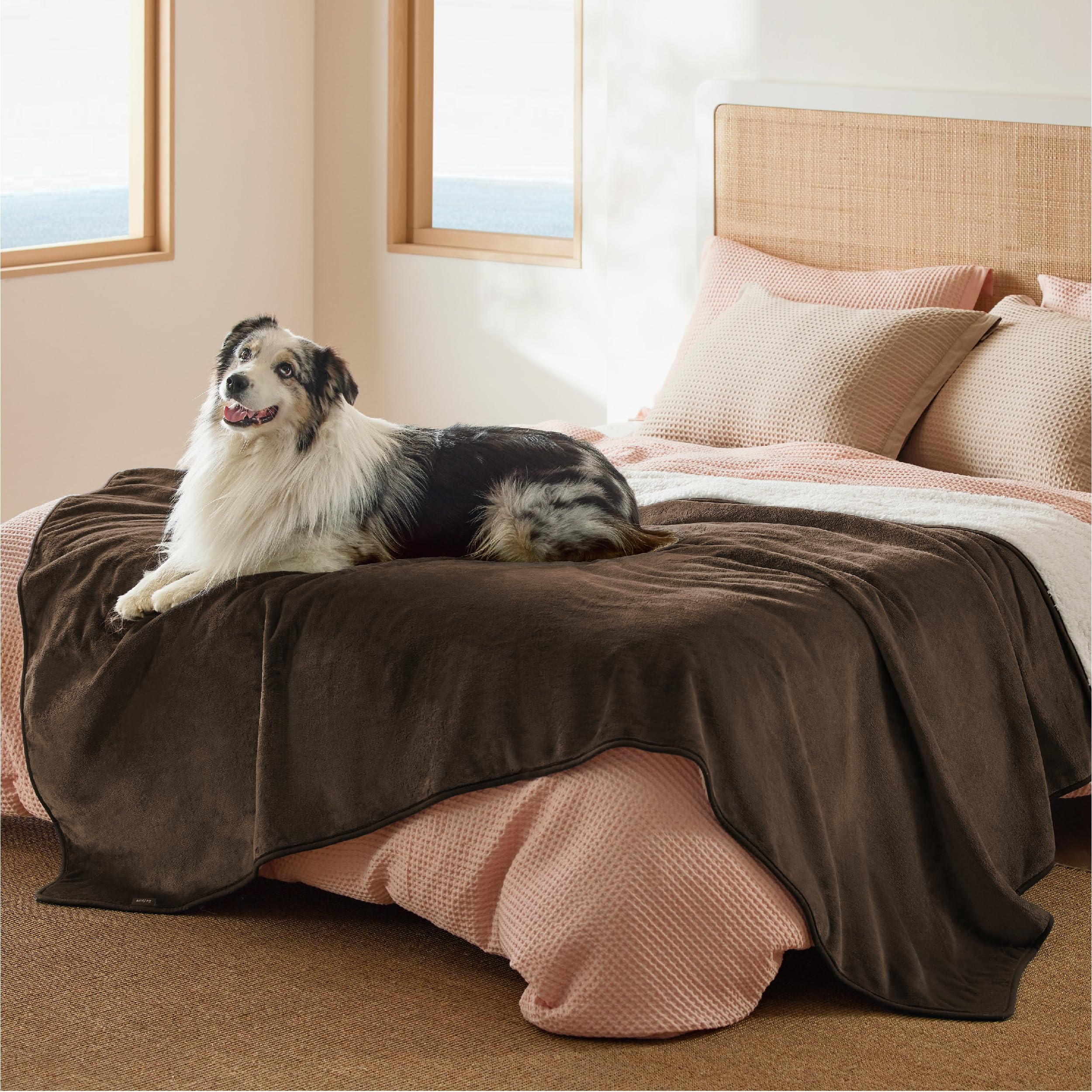 Bedsure Waterproof Dog Blankets For Medium Dogs - Medium Cat Blanket Washable For Couch Protection, Sherpa Fleece Puppy Blanket, Soft Plush Reversible Throw Furniture Protector, 30'X40', Coffee Brown