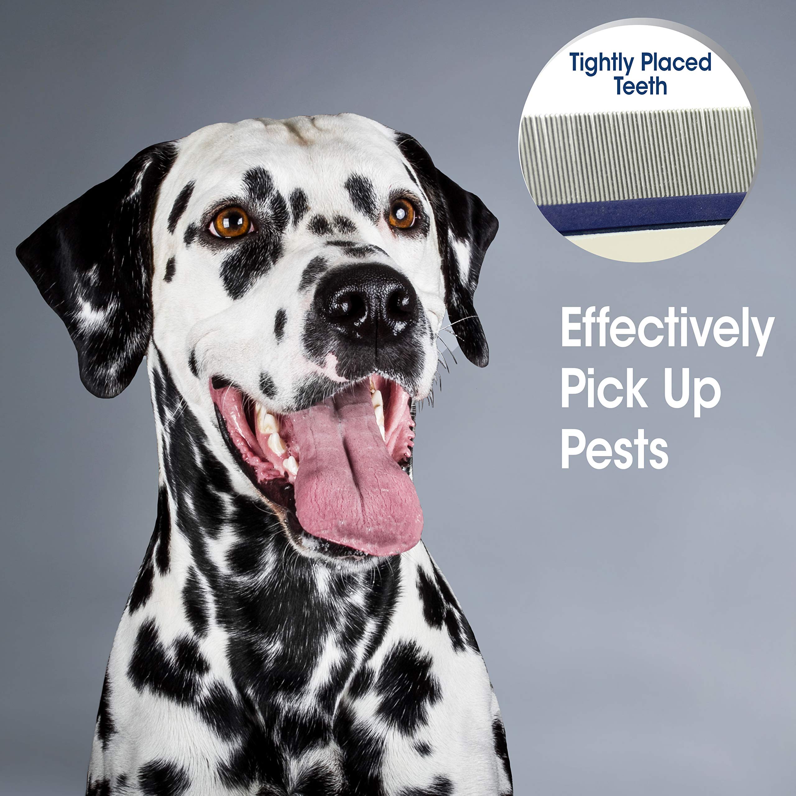 FP PALM FLEA COMB
