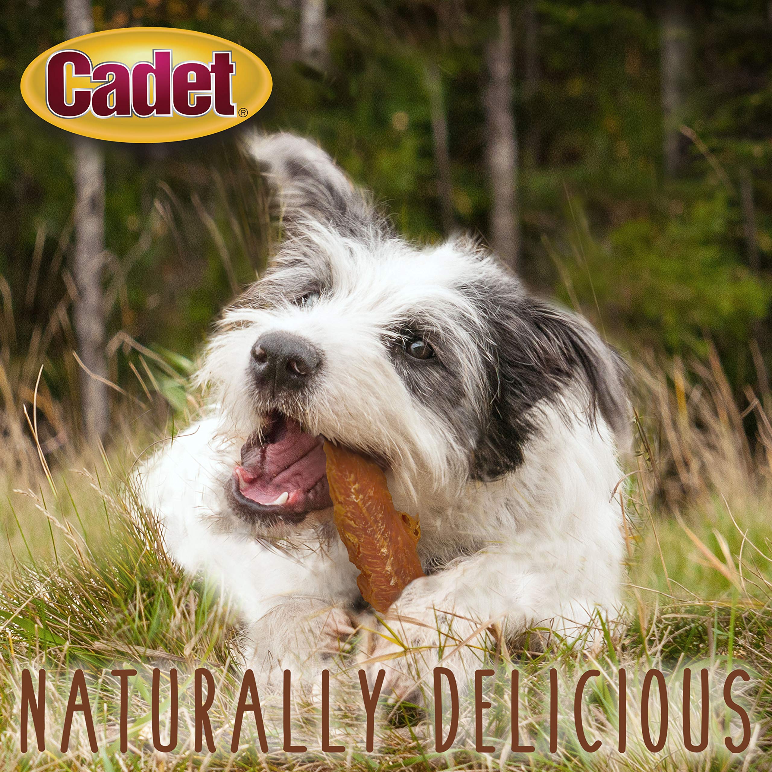 Cadet Gourmet Chicken Breast Dog Treats, 14 oz, Multi-colored, Model C01306
