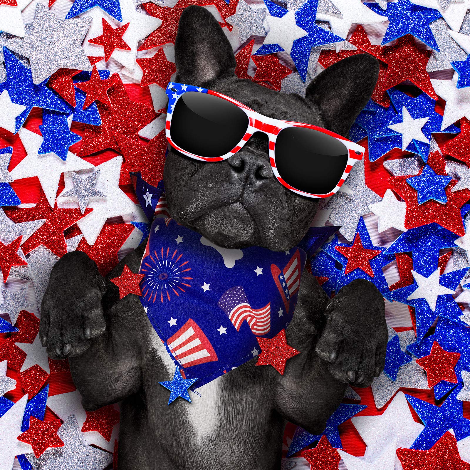 12 Pieces Holiday Dog Bandanas Halloween Dog Scarf Birthday Thanksgiving Christmas Daily Festival Costume Supply Pets Dog Scarf Bandana For Dogs Cats Pets Costume(Medium)