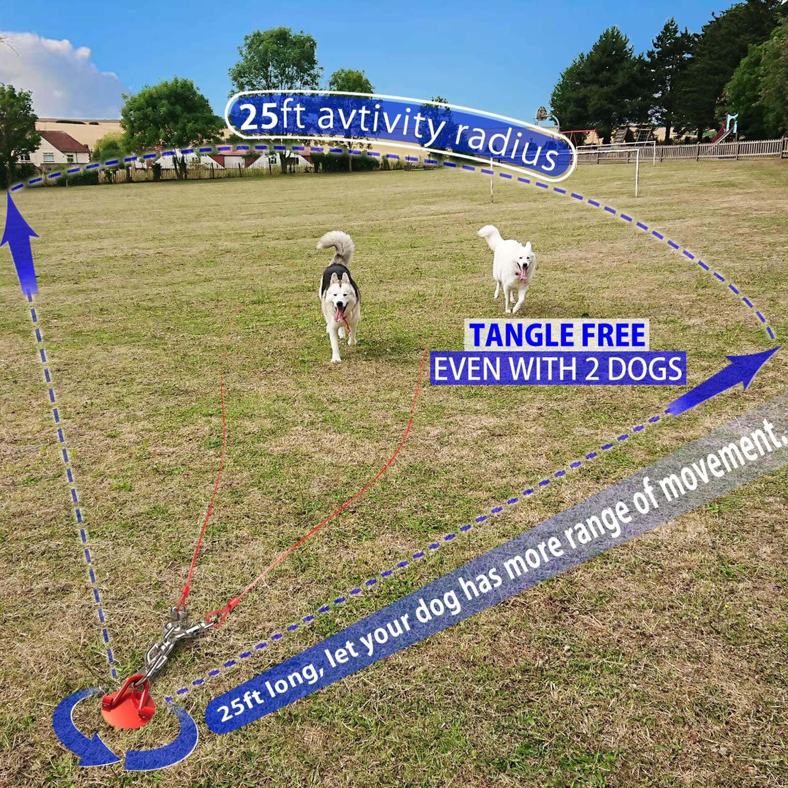 Heavy Duty Dog Tie Out Cable And Stake - 360 No Tangle Dog Yard Stake And Leash For Small To X-Large Dogs Or Two Dogs Up To 180