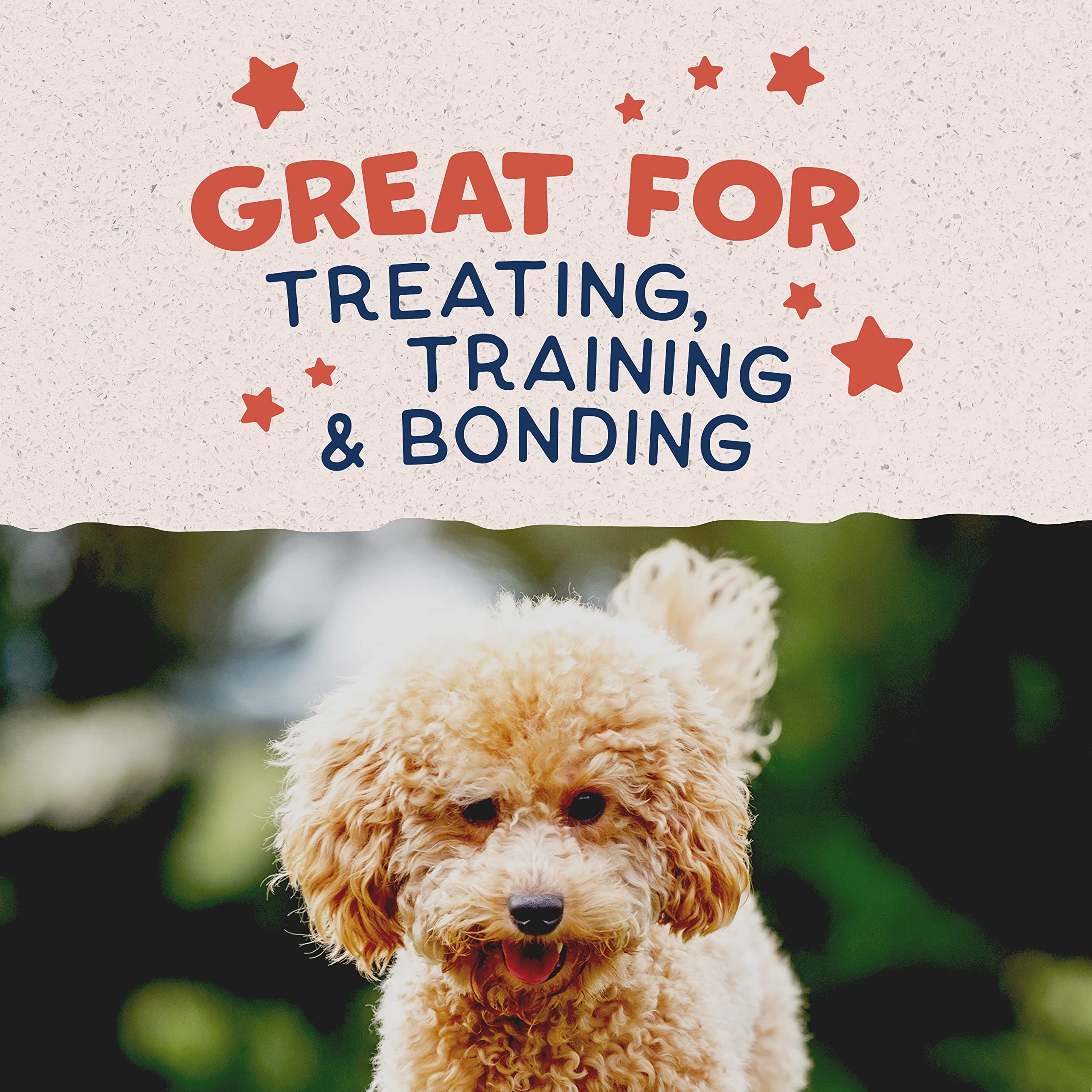 Natural Balance Limited Ingredient Mini-Rewards Salmon Grain-Free Dog Training Treats for Dogs | 5.3 Ounce (Pack of 1), Canister