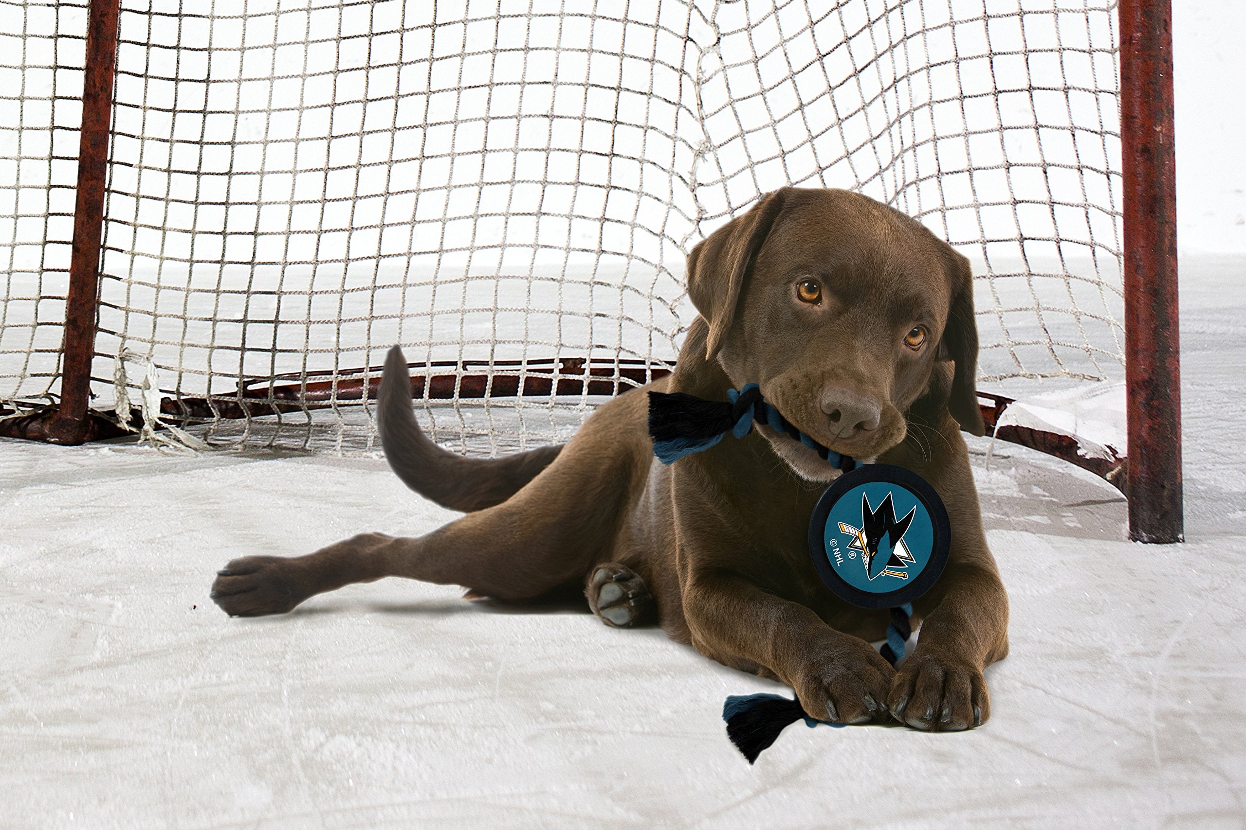 Pets First NHL SAN Jose Sharks Puck Toy for Dogs & Cats. Play Hockey with Your Pet with This Licensed Dog Tough Toy Reward!