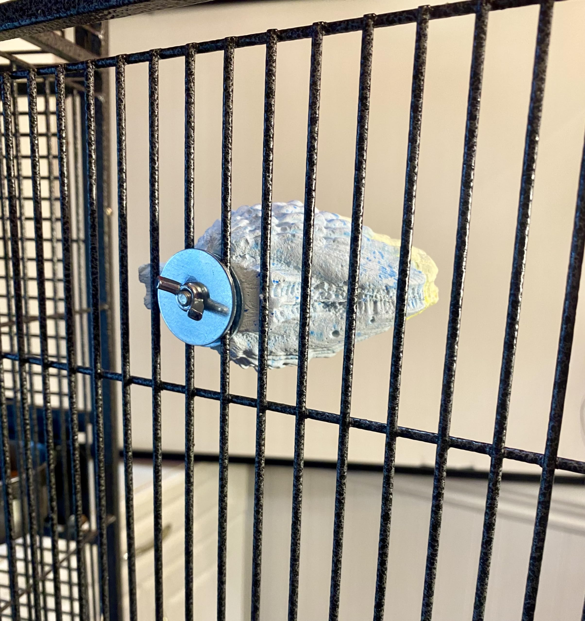 Polly'S Comfy Clam Parrot Cage Flat Bird Perch For Macaws, Parakeets, Cockatiels, African Greys, Amazons And More (Blue/Yellow, Small)